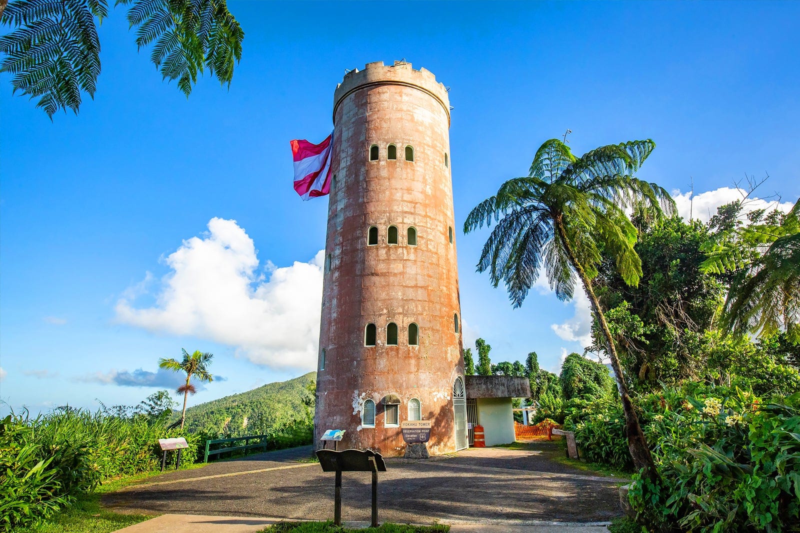 Puerto Ri El Yunque National Forest in Puerto Rico - Explore a Lush Tropical ...