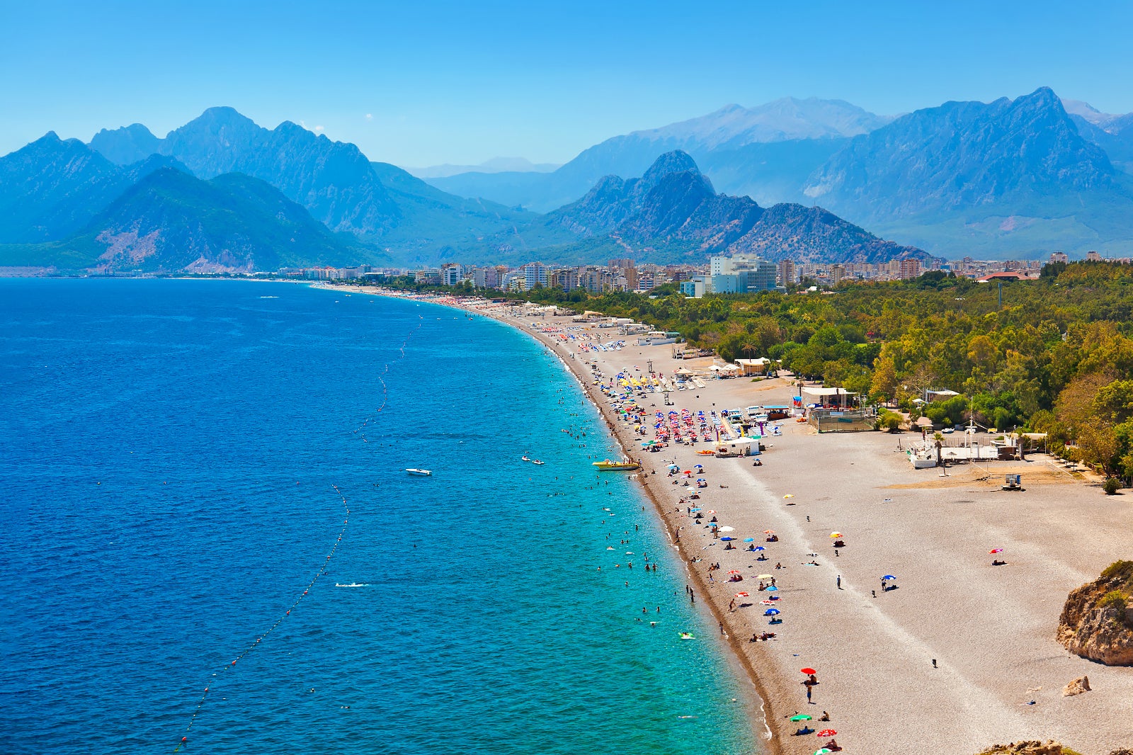 turkey on beach