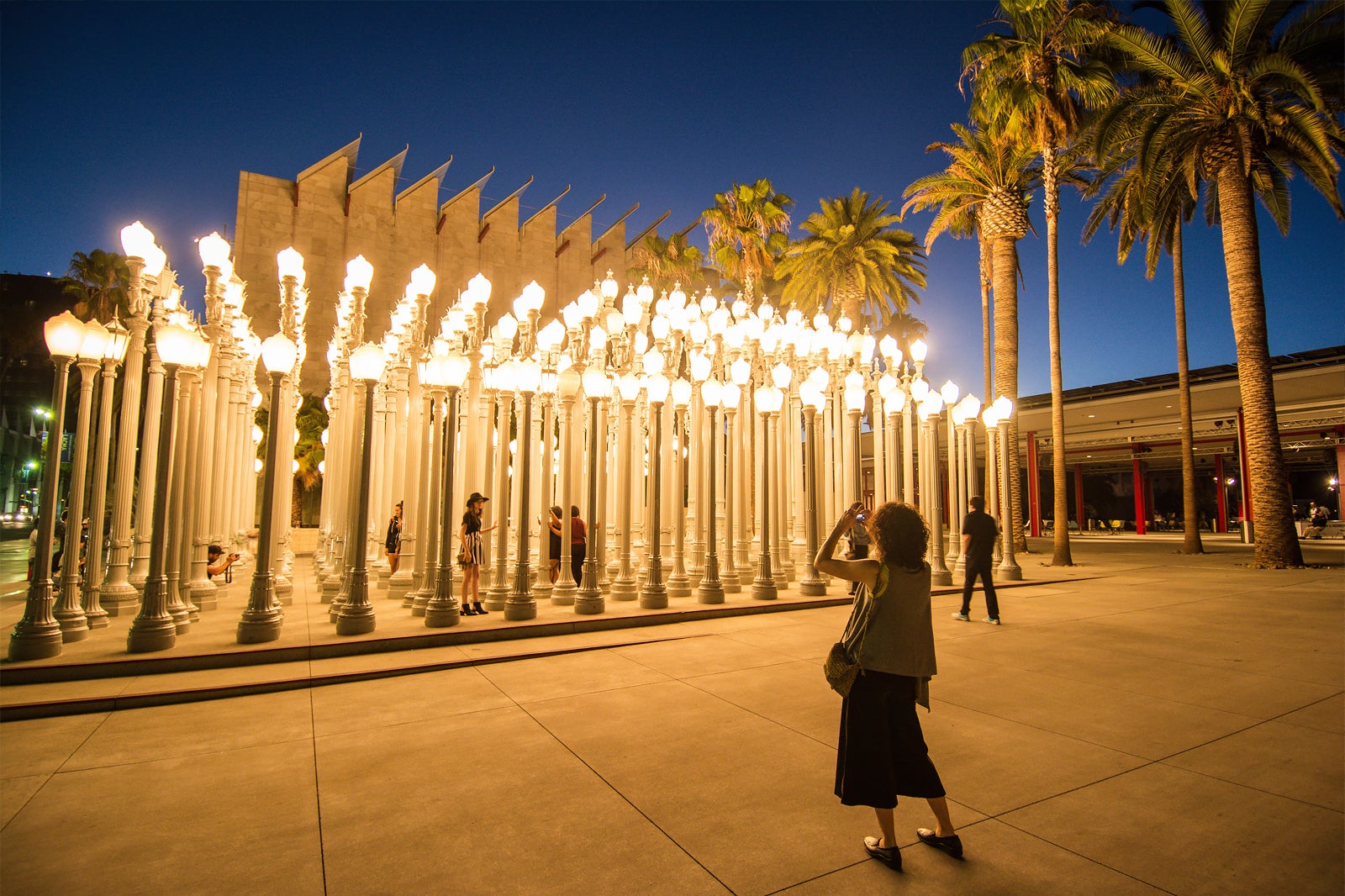 Los Angeles County Museum of Art Visit One of Largest Art Museums on