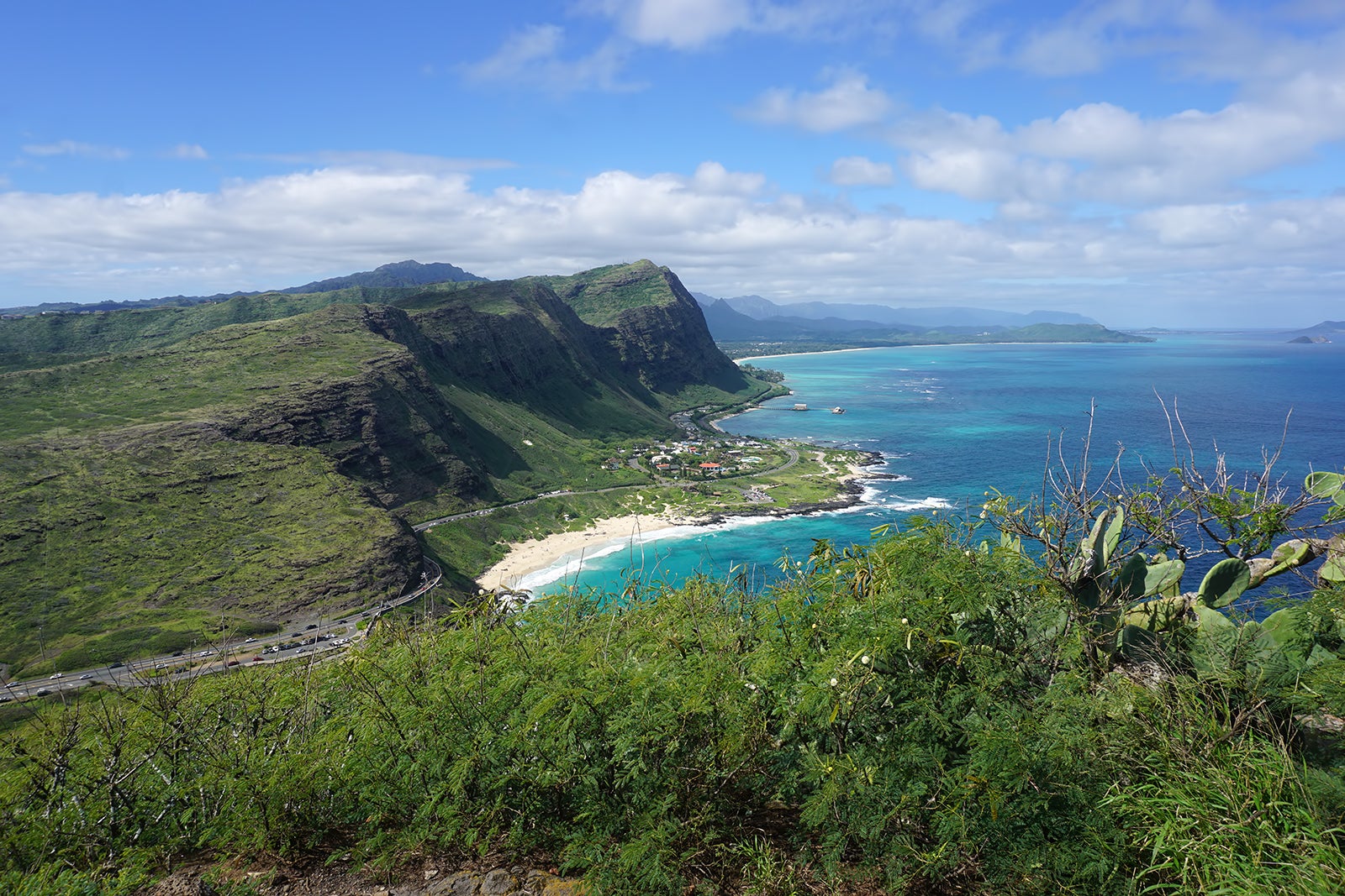 Turtle Beach - Head to the North Shore to See Green Sea Turtles in Their  Element – Go Guides