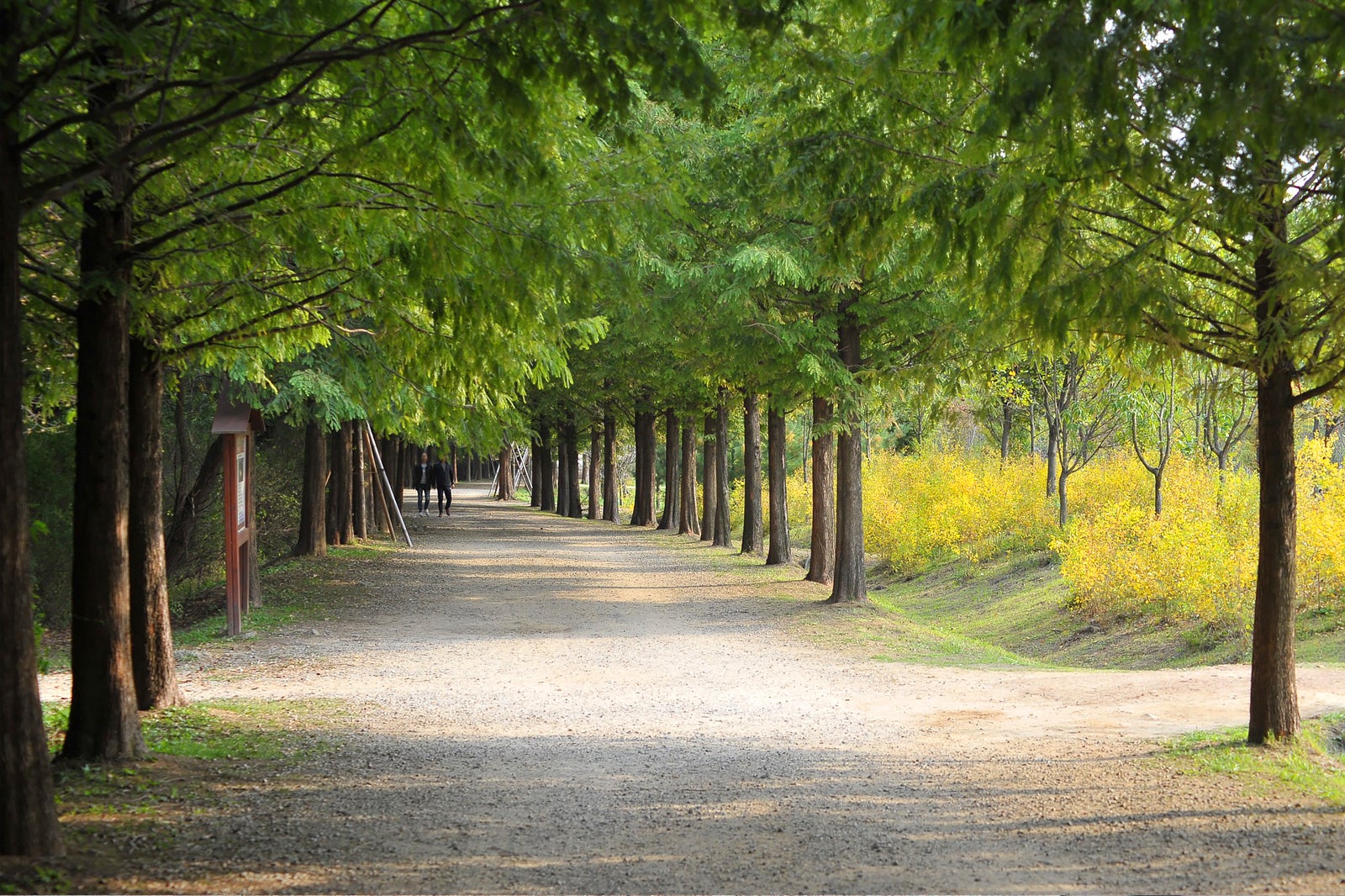 place to visit in incheon korea