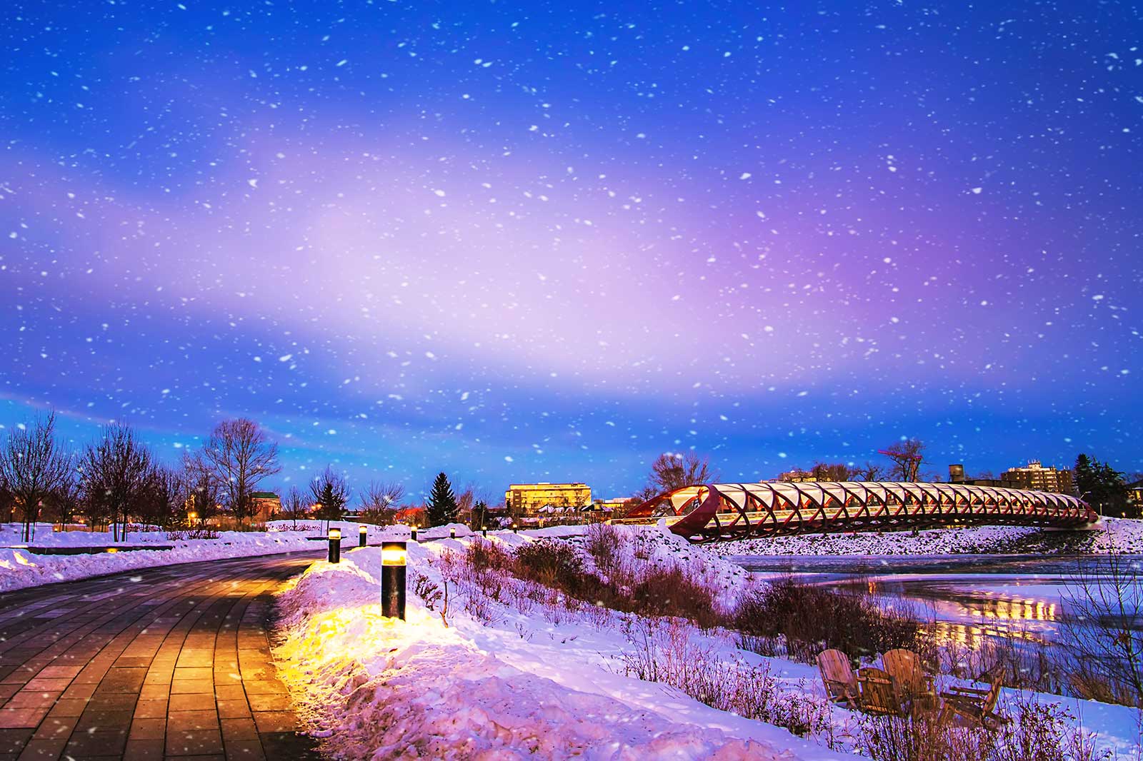 10 Best Things to Do in Calgary in Winter - Make the Most of Your ...