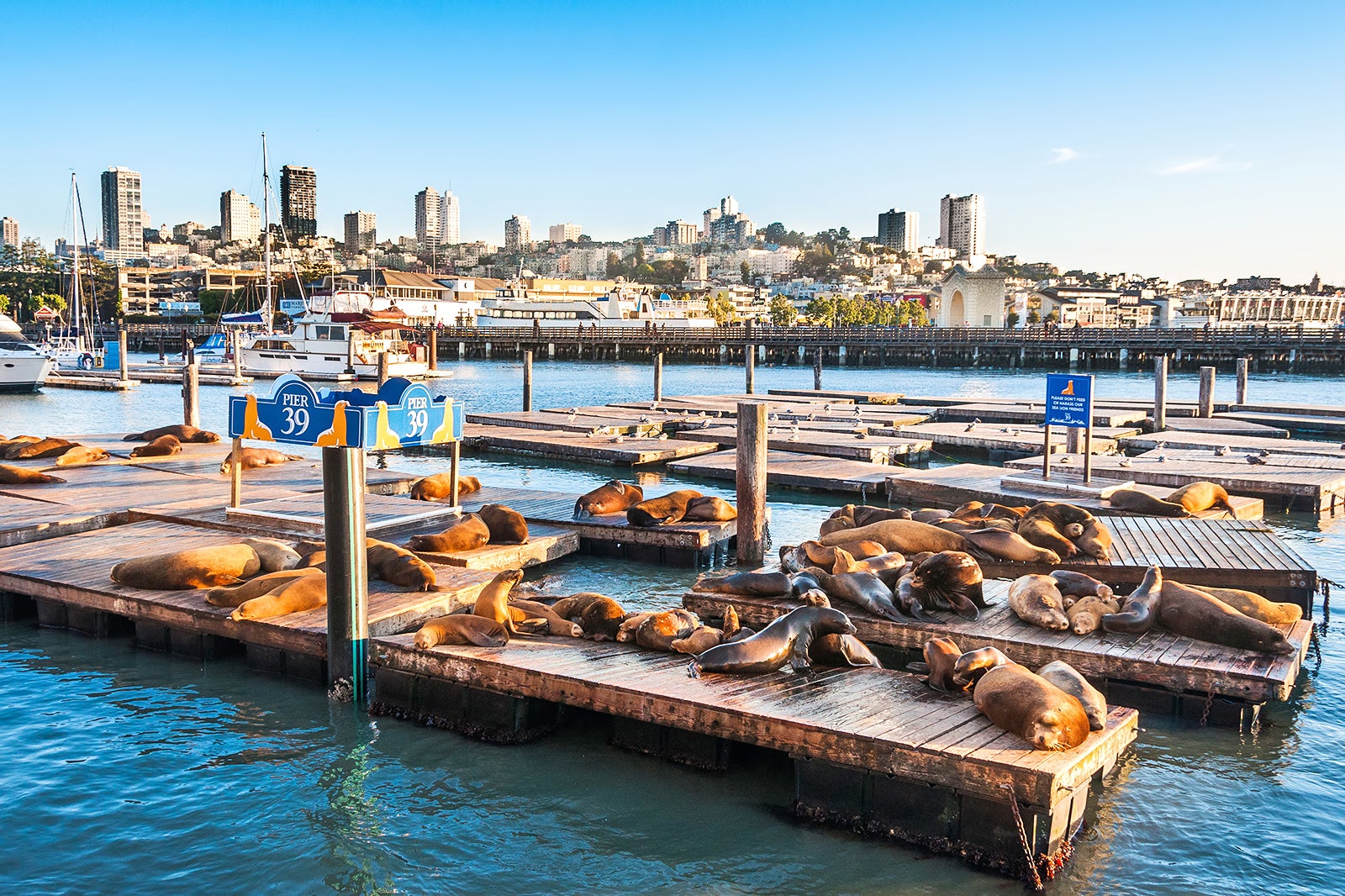 Fisherman's Wharf and Pier 39