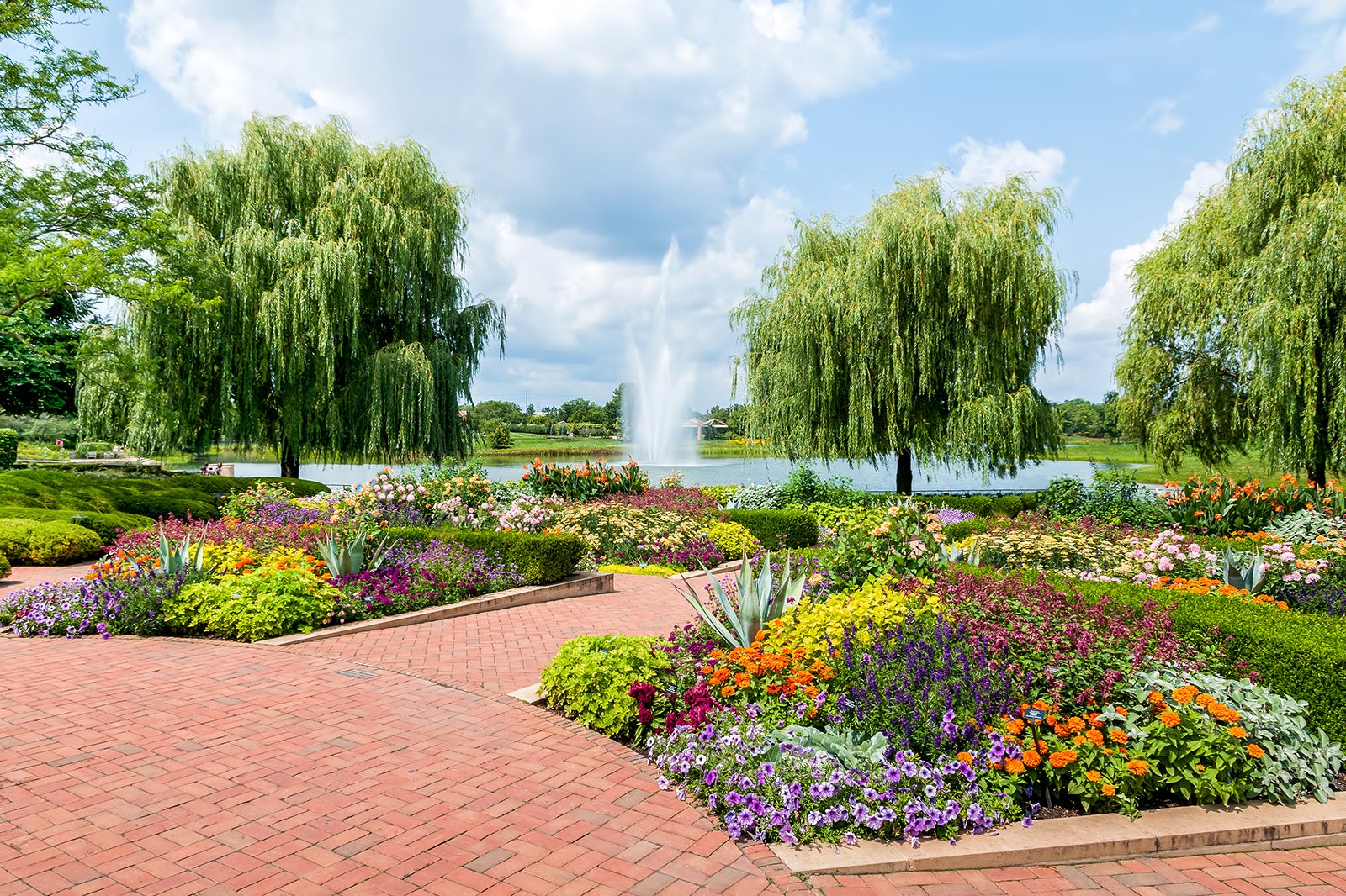 Chicago Botanic Garden Events Calendar - Harri Pepita