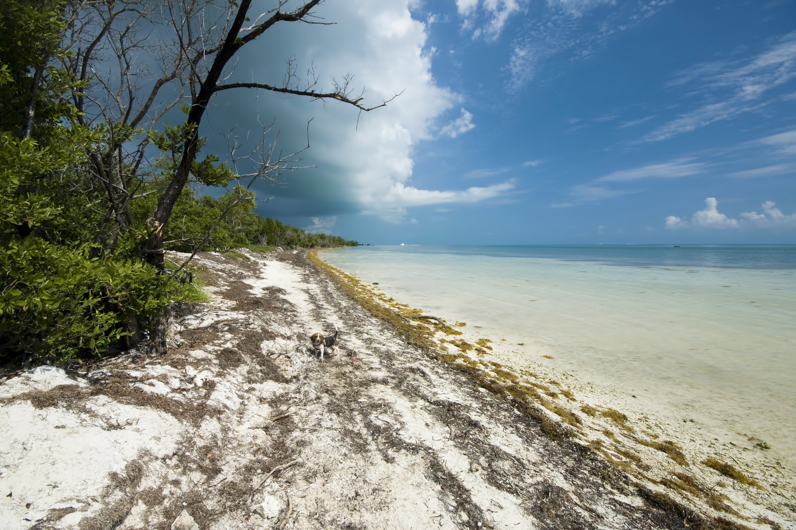 Budget Travel  The Florida Keys