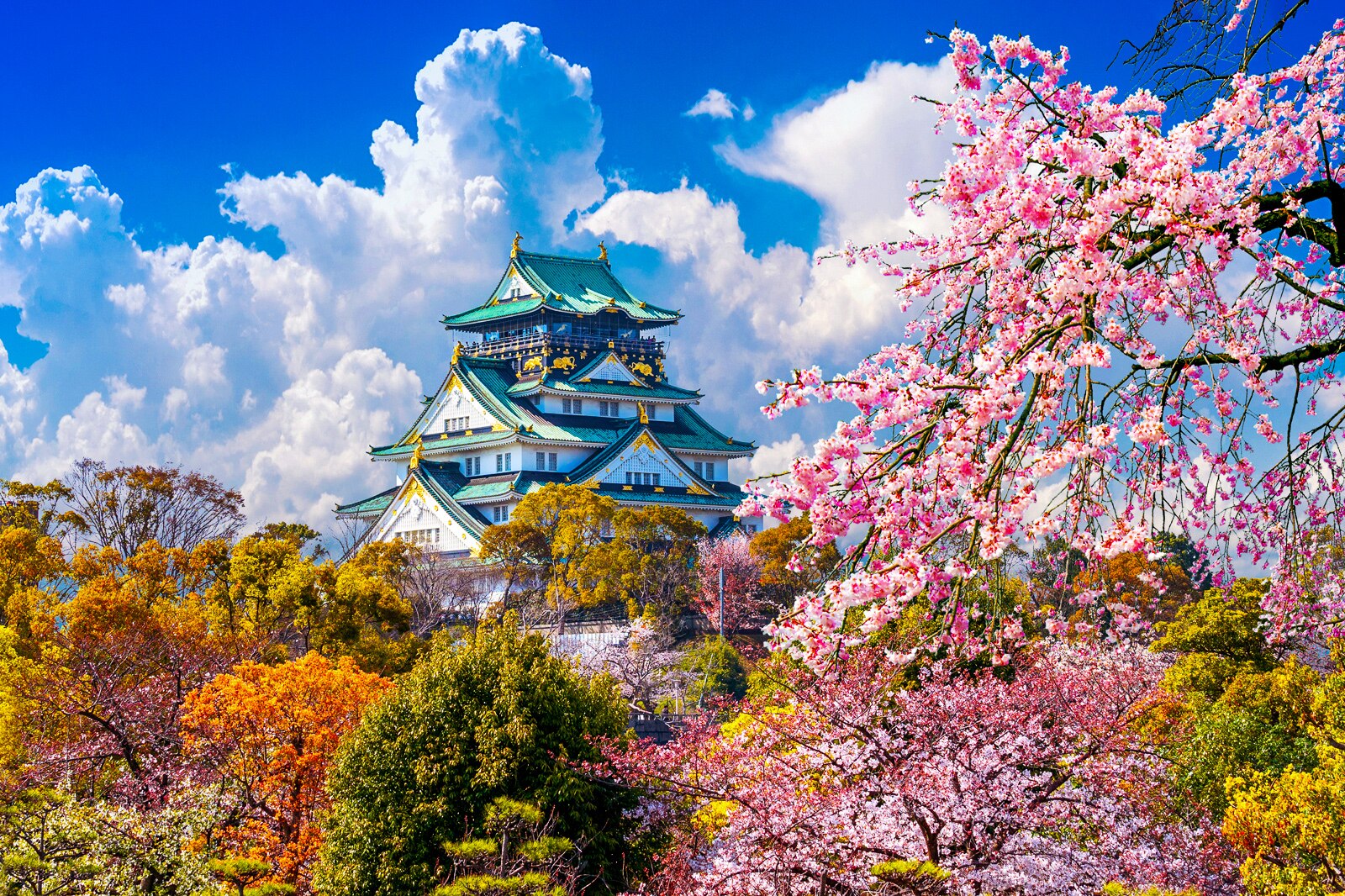 Osaka What You Need To Know Before You Go Go Guides