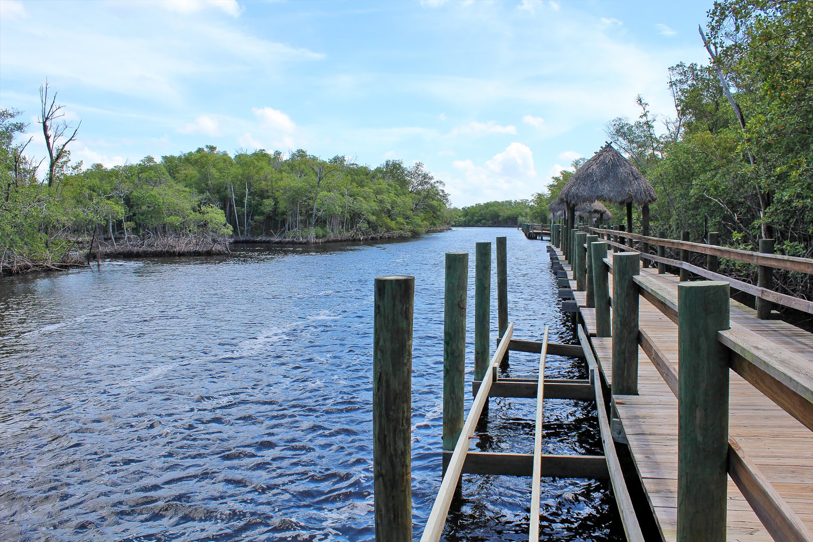 10 Things to Do in Winter in Miami Plan your Winter Trip to South