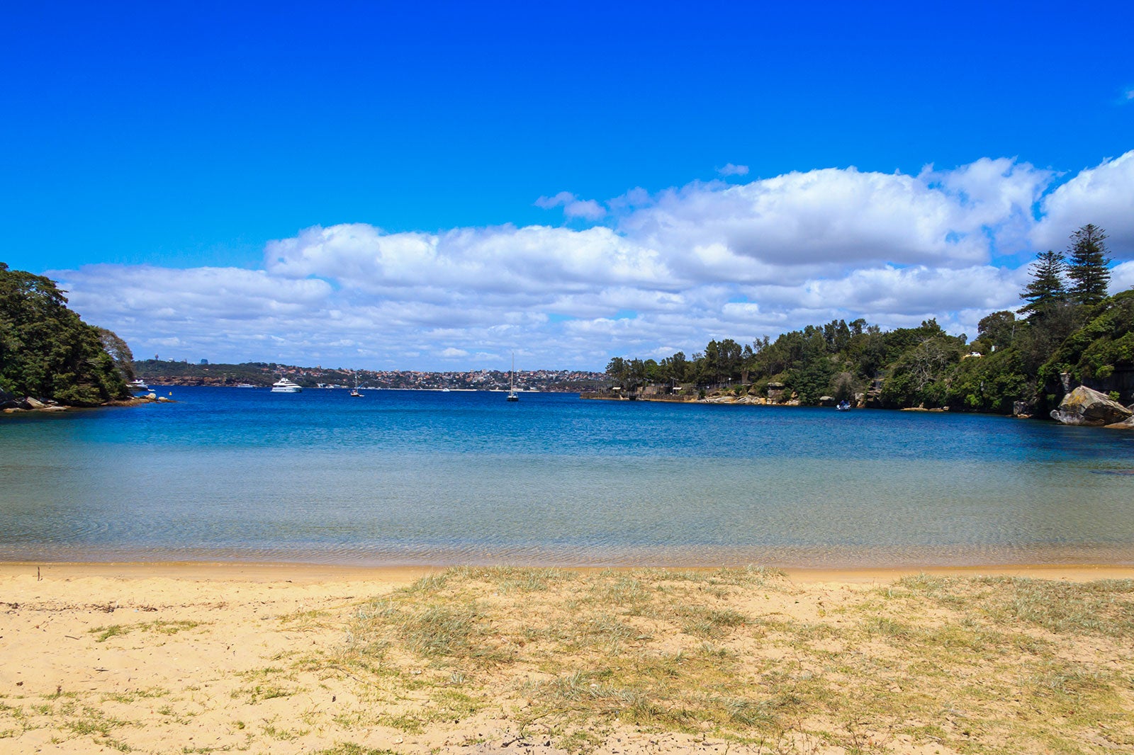 10 Best Parks In Sydney - Explore Sydney's Most Beautiful Outdoor ...