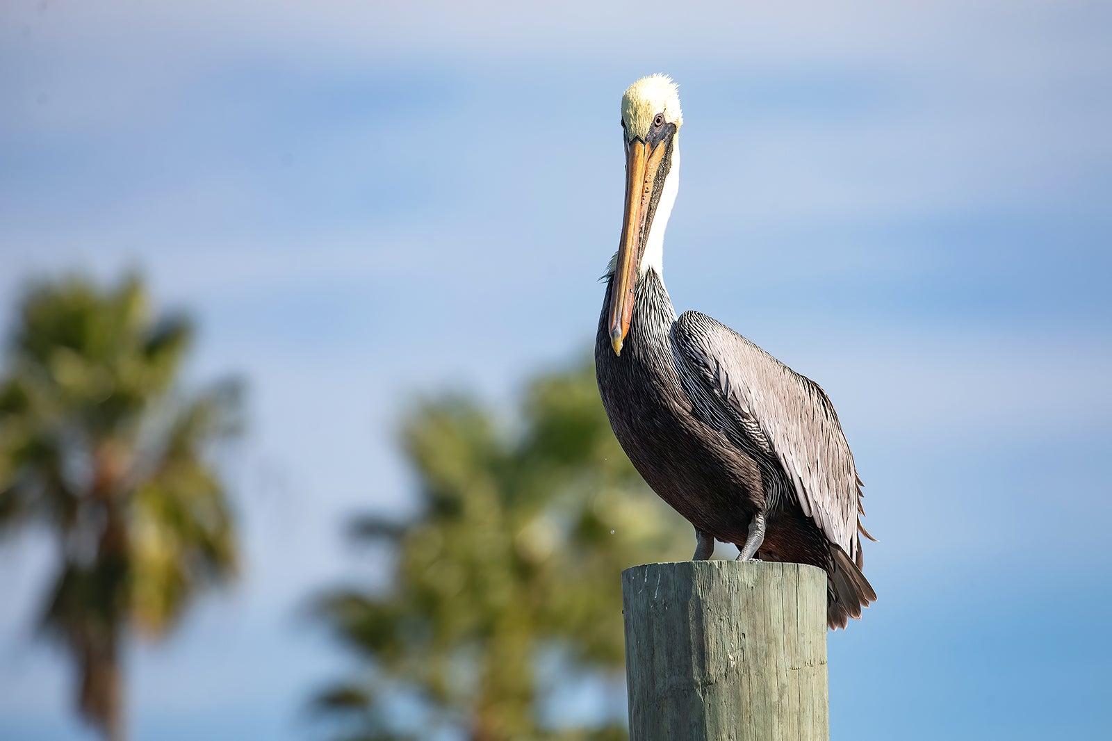 10 Tips to Save Money in Florida Keys - Florida Keys for Budget Travelers –  Go Guides