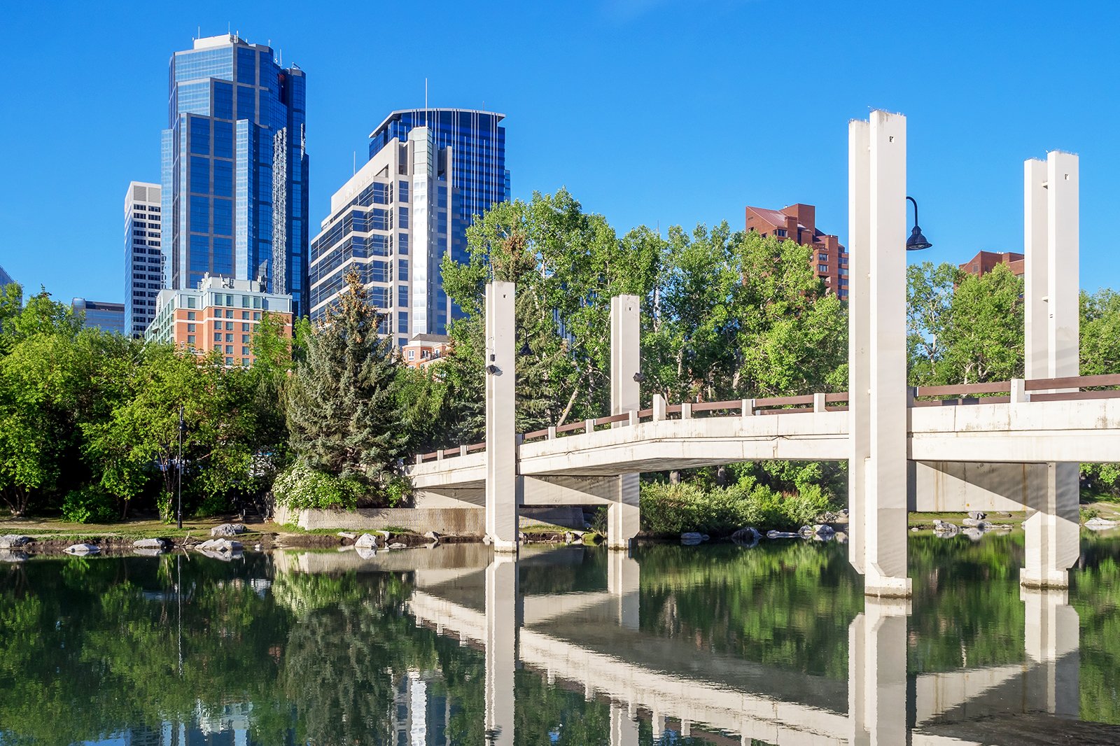 10 Best Things To Do In Calgary What Is Calgary Famous For Go Guides 5100