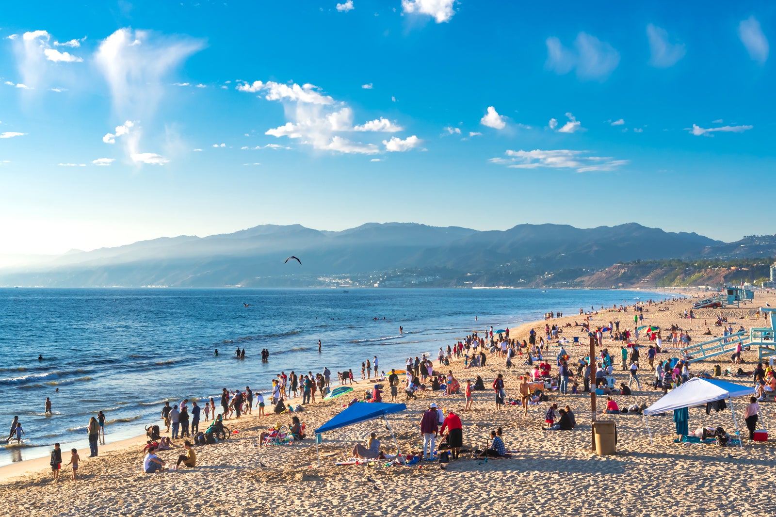 what beaches in los angeles allow dogs