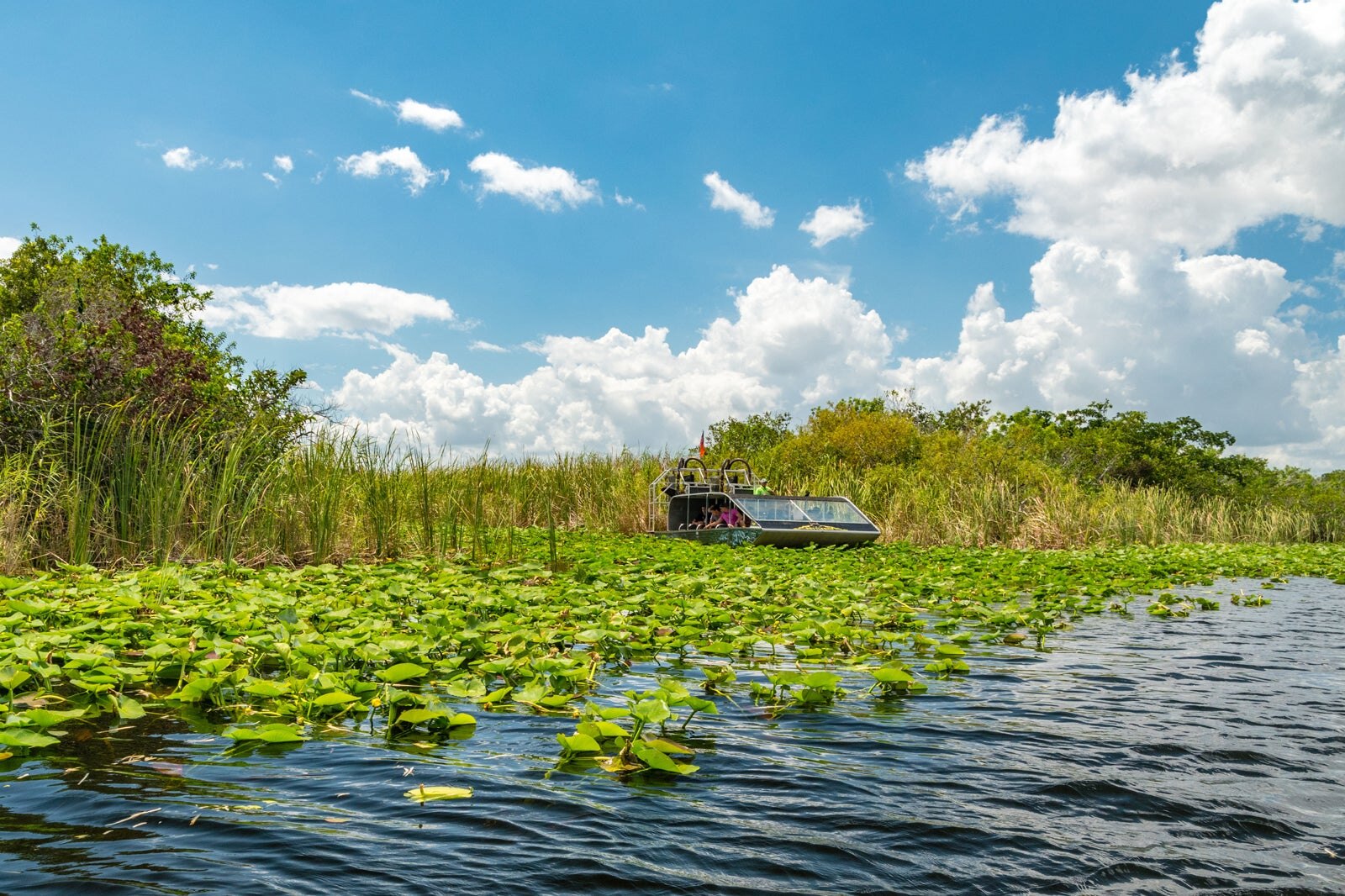 Confira 10 atrações em uma escala em Miami