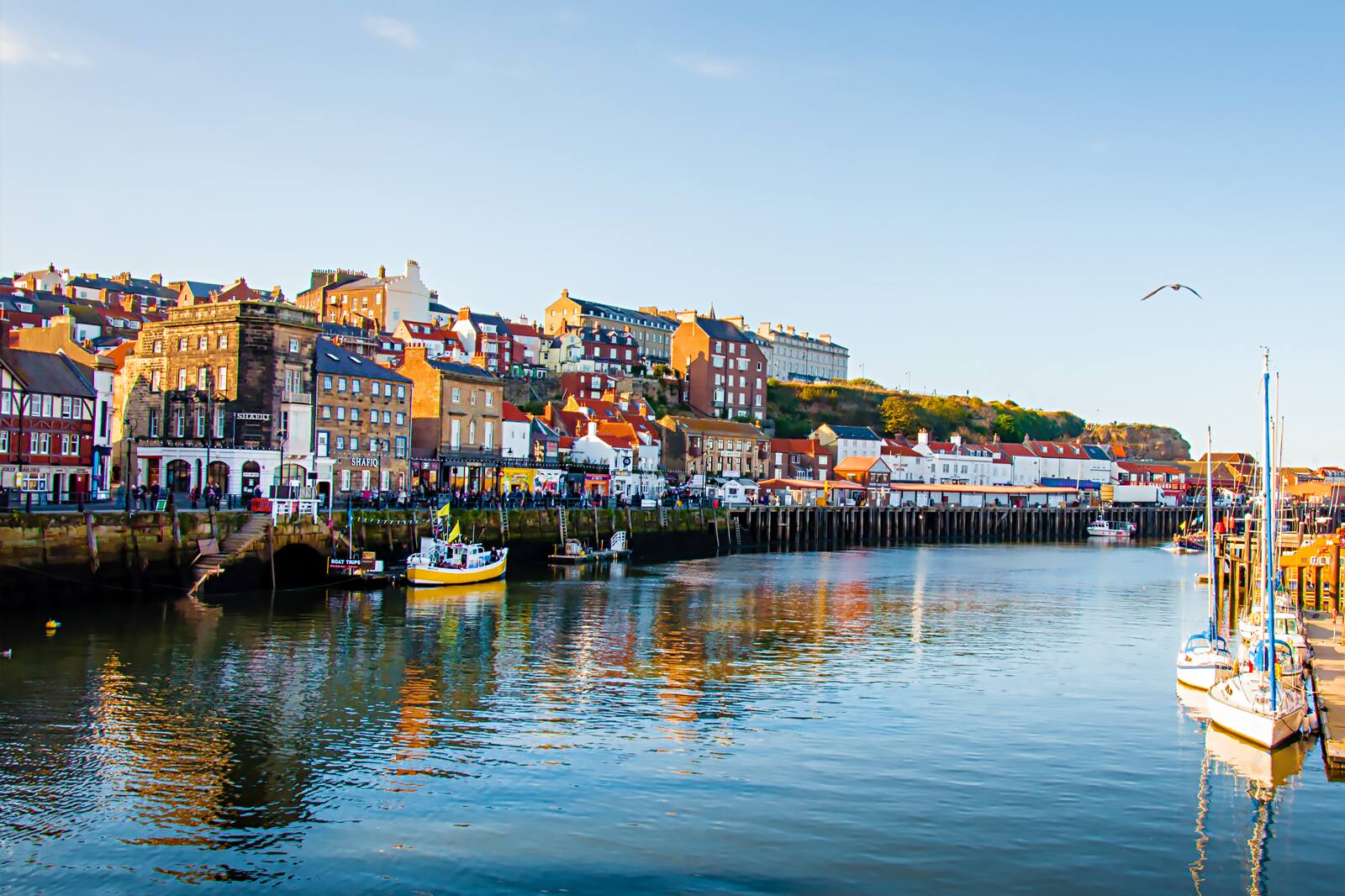 Whitby Ref 10 Places Where Locals Love to Eat in Whitby - Where to Find Whitby's ...