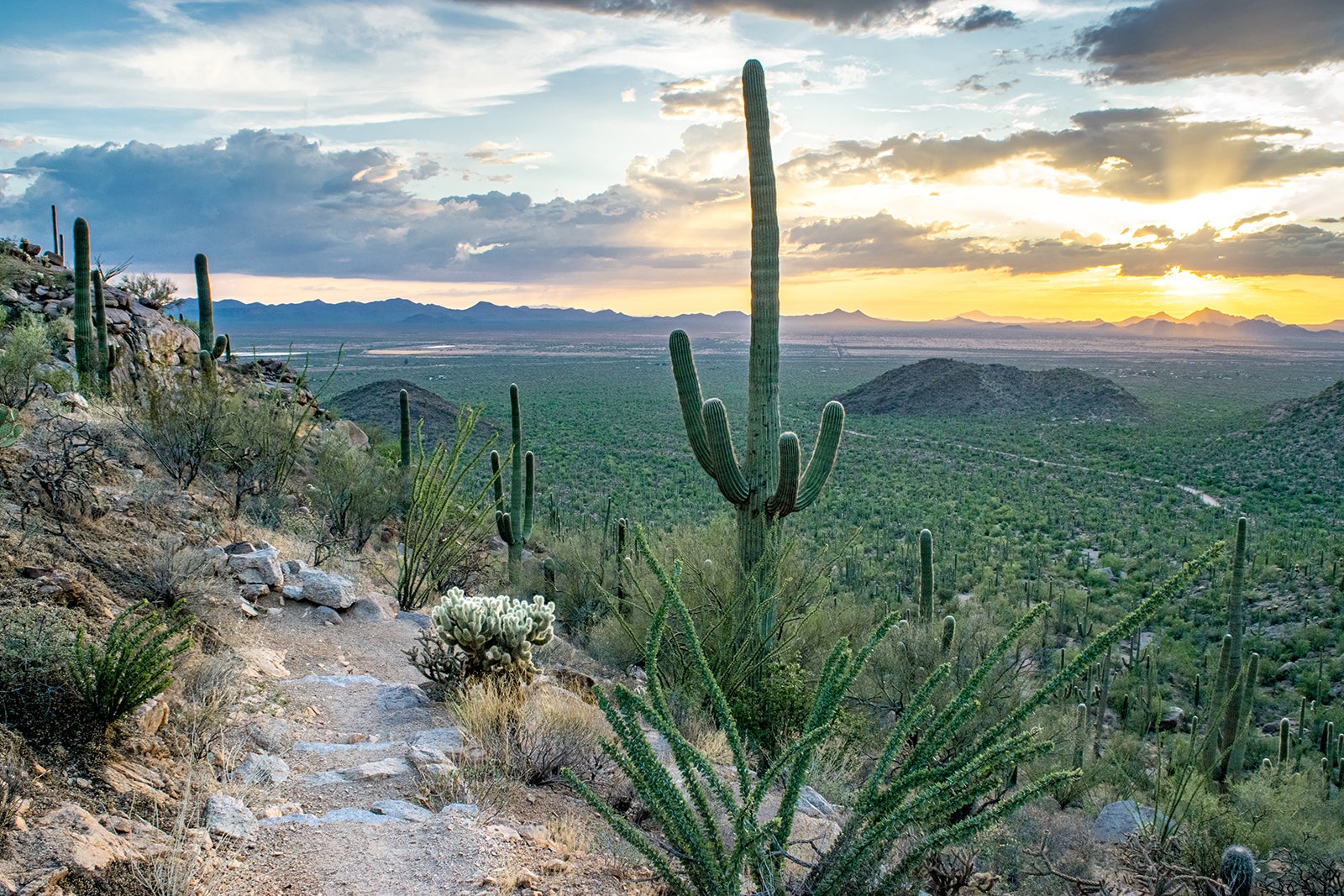 11 Best Things to Do in Tucson What is Tucson Most Famous For? Go
