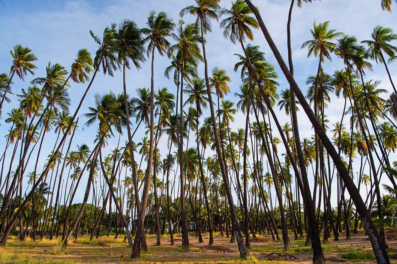 Molokai in Hawaii - What You Need to Know to Plan an Island Vacation in ...