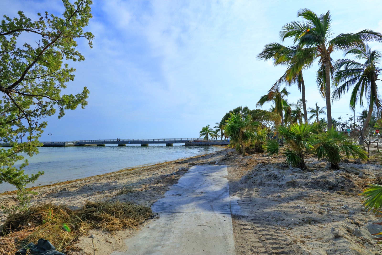 9 Best Things to Do in Islamorada See Diving Museums and Wildlife