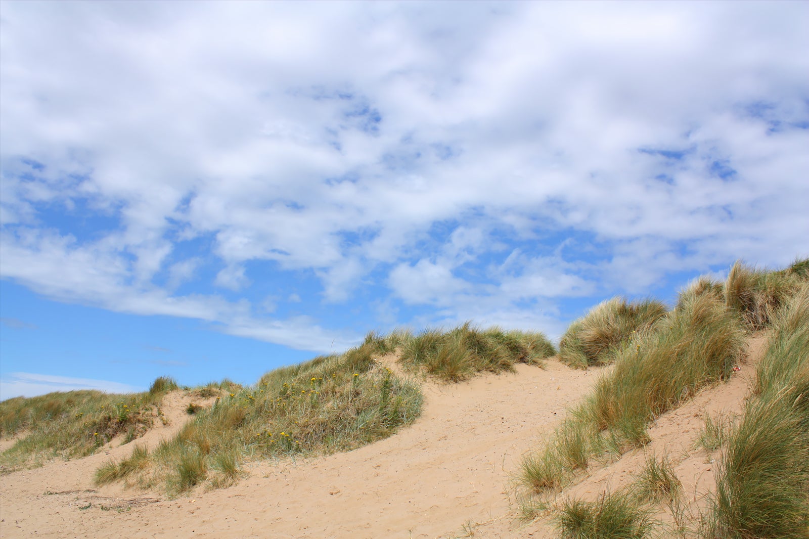 Blackpool sand dunes - Explore the Windswept Coastal Dunes - Go Guides