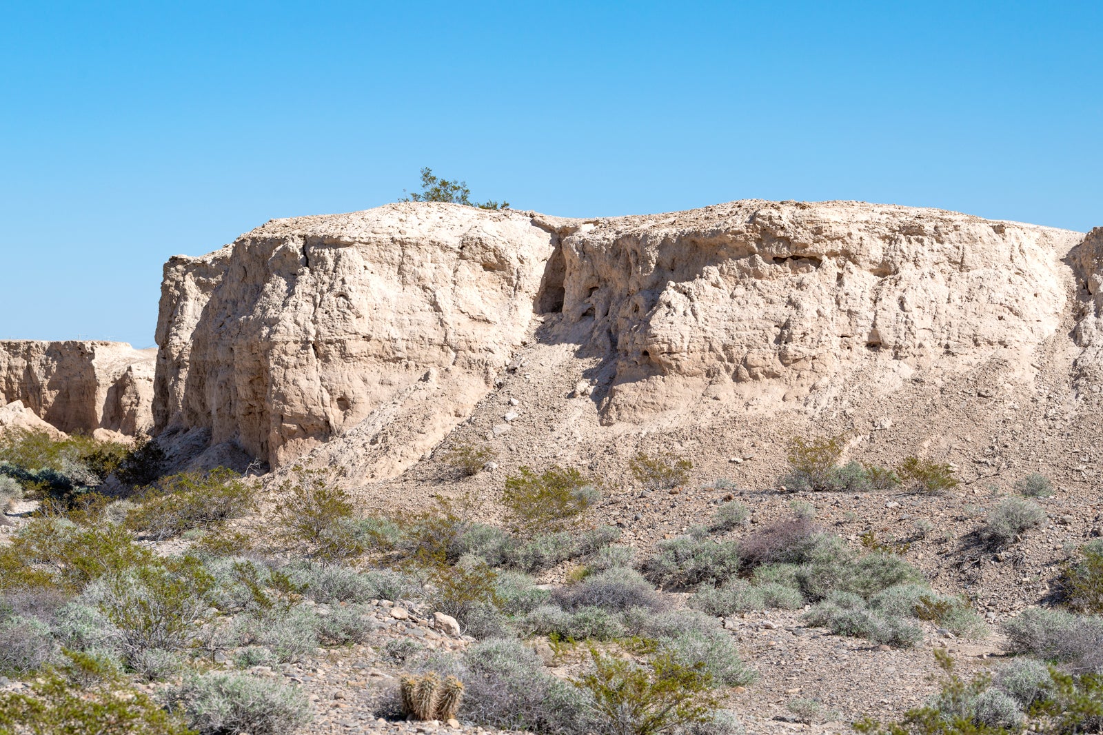Tule Springs Fossil Beds National Monument in Las Vegas Explore a