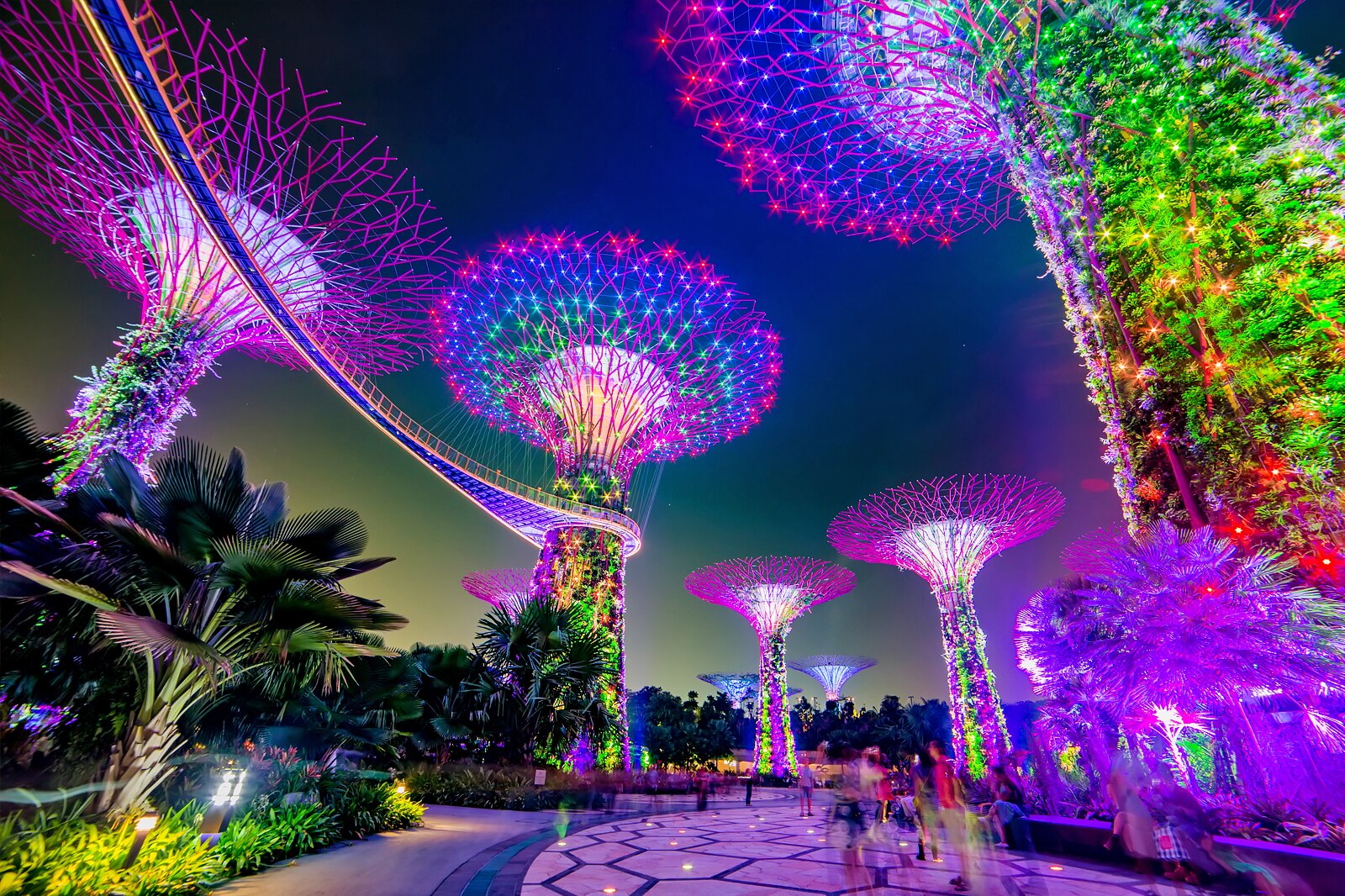 What Time Is The Light Show At Gardens By The Bay At Lachlan Macadie Blog