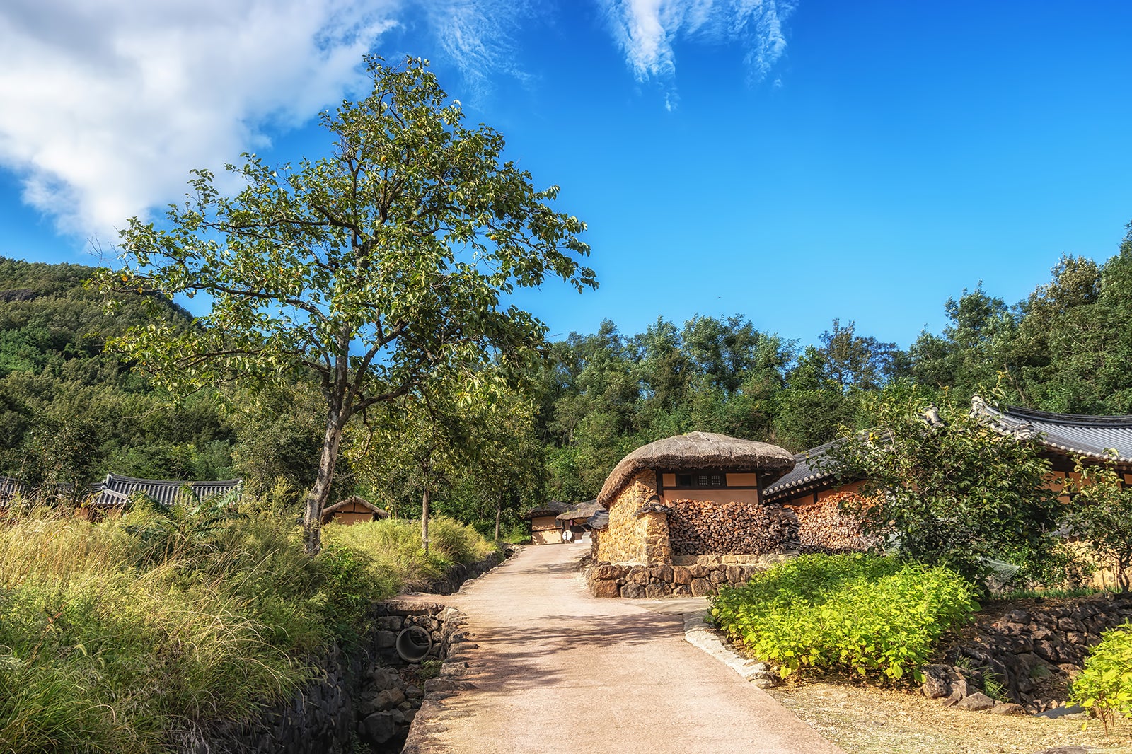 5 Best Places to Go Shopping in Goseong Where to Shop in Goseong and