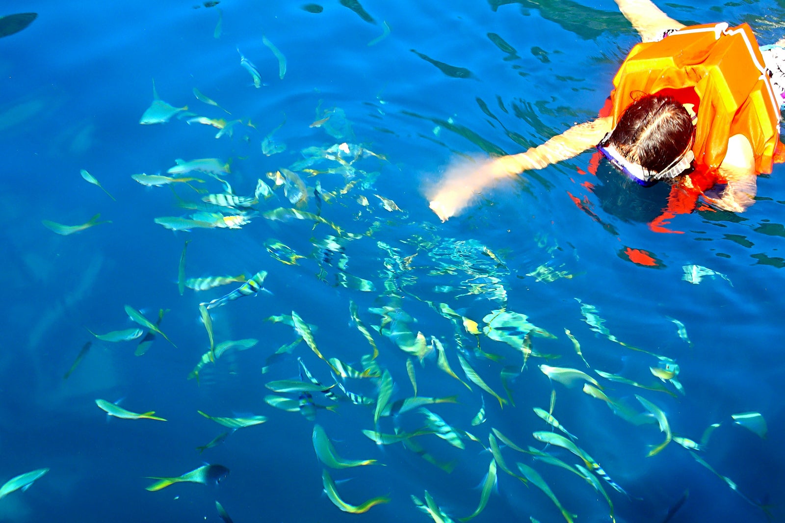 The Shipwrecks of Coron Bay - Snorkelling and Diving Site in Palawan ...