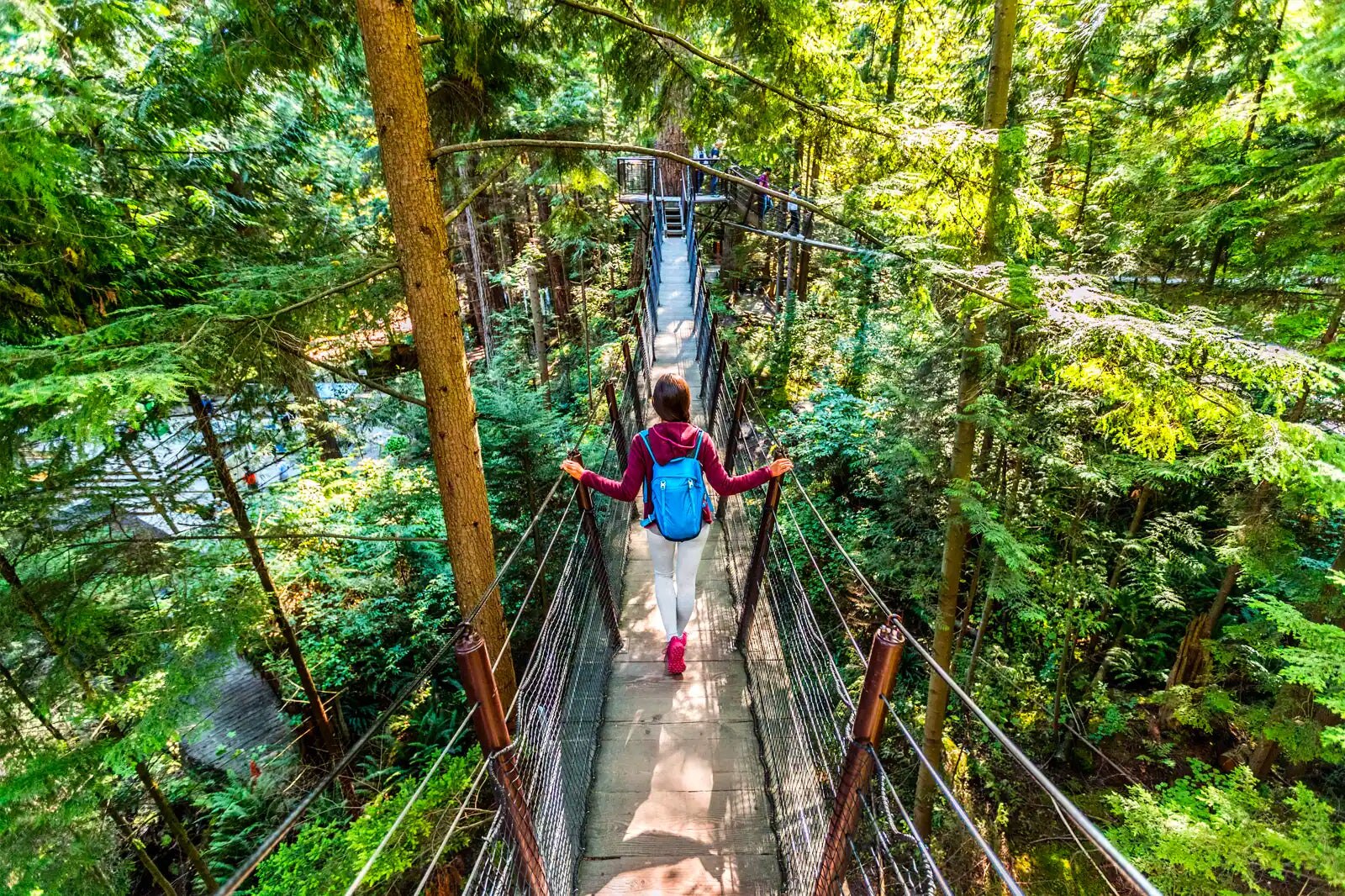 10 Things To Do Off The Beaten Track In Vancouver Interesting Places
