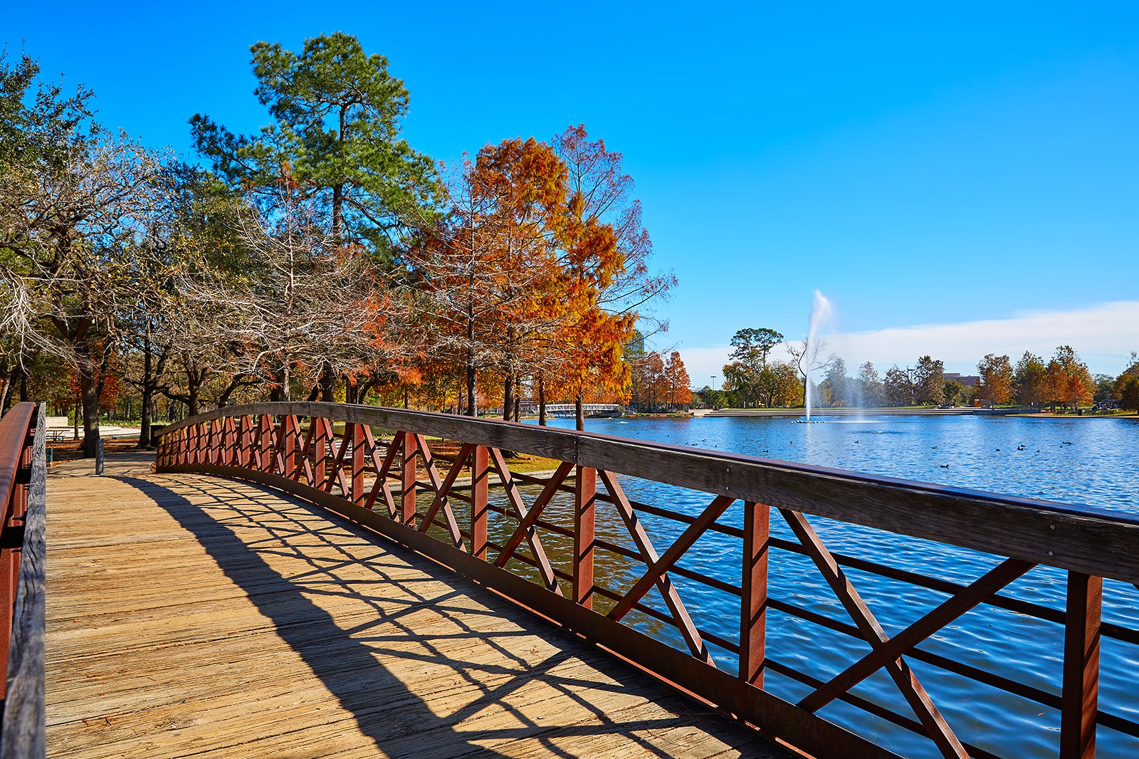 Hermann Park is one of the very best things to do in Houston