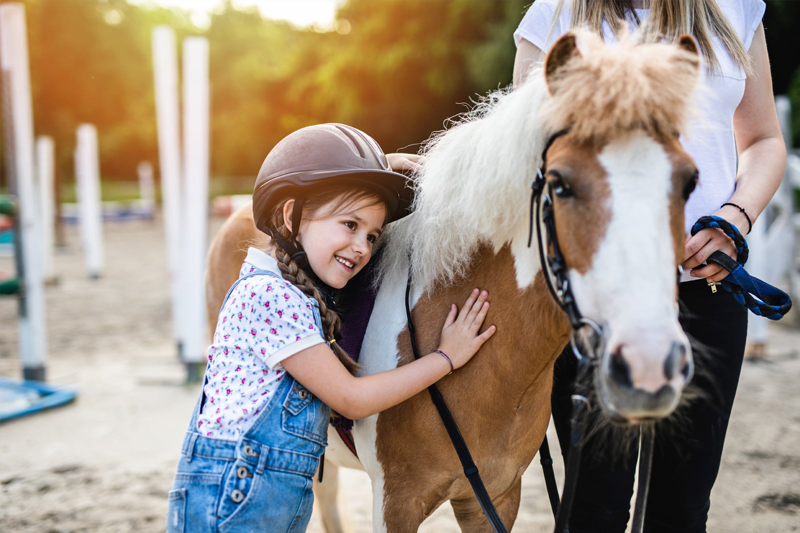 Penny Farm Blackpool Learn More About a Local Animal Rescue Go Guides