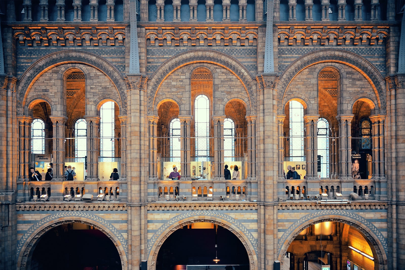 natural history museum london interior