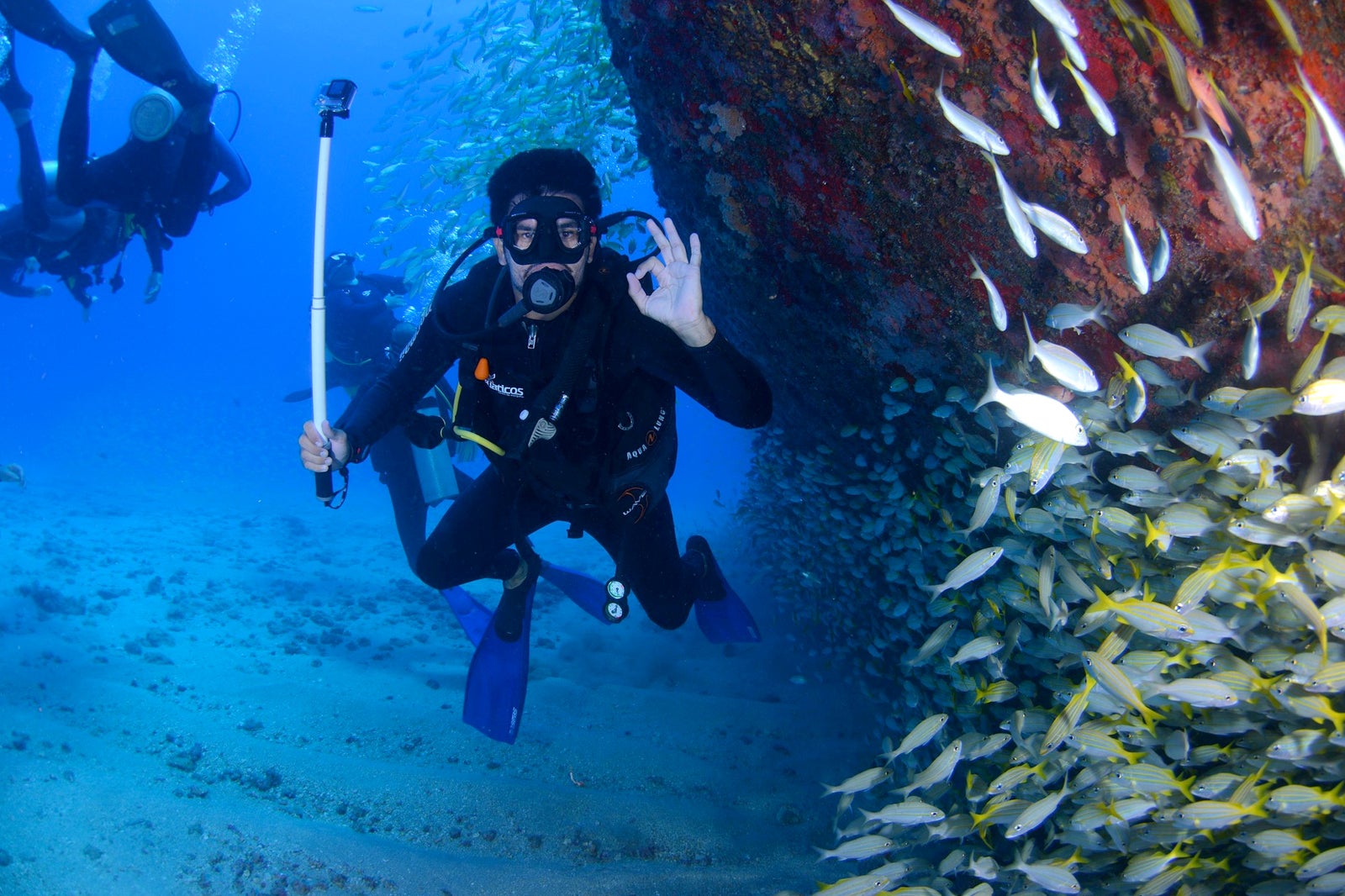 8 Best Dive Centers in Bali - Where to Learn Scuba Diving in Bali – Go ...