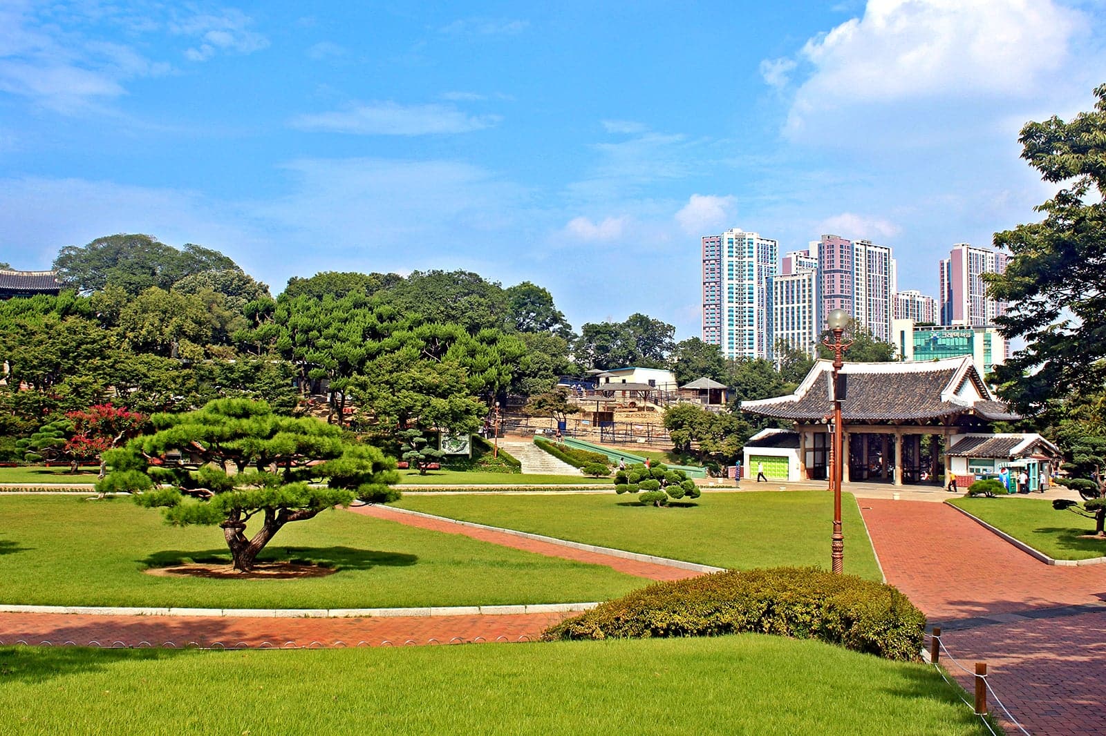 Daegu Local 10 Things to Do in Daegu on a Small Budget - What are the Cheap Things ...