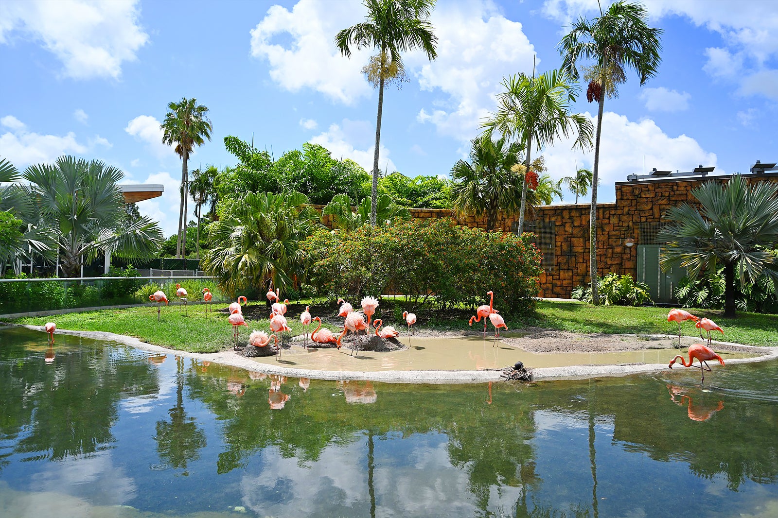 travel zoo miami