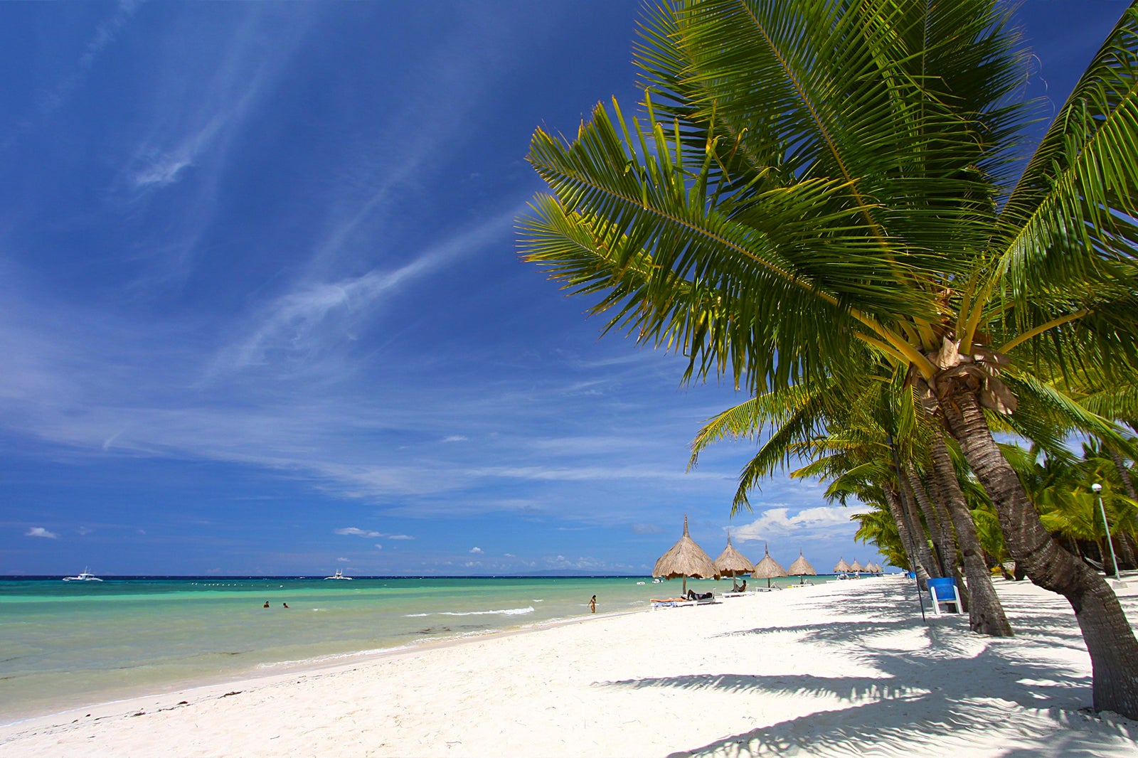 Guide To Bohol Island In The Philippines The Best Thi - vrogue.co