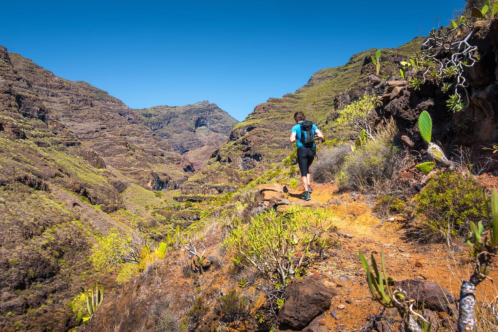 Top 20 Mountain Hiking Trails In The Canary Islands FDDC top-20-mountain-hiking-trails-in-the-canary-islands-fddc