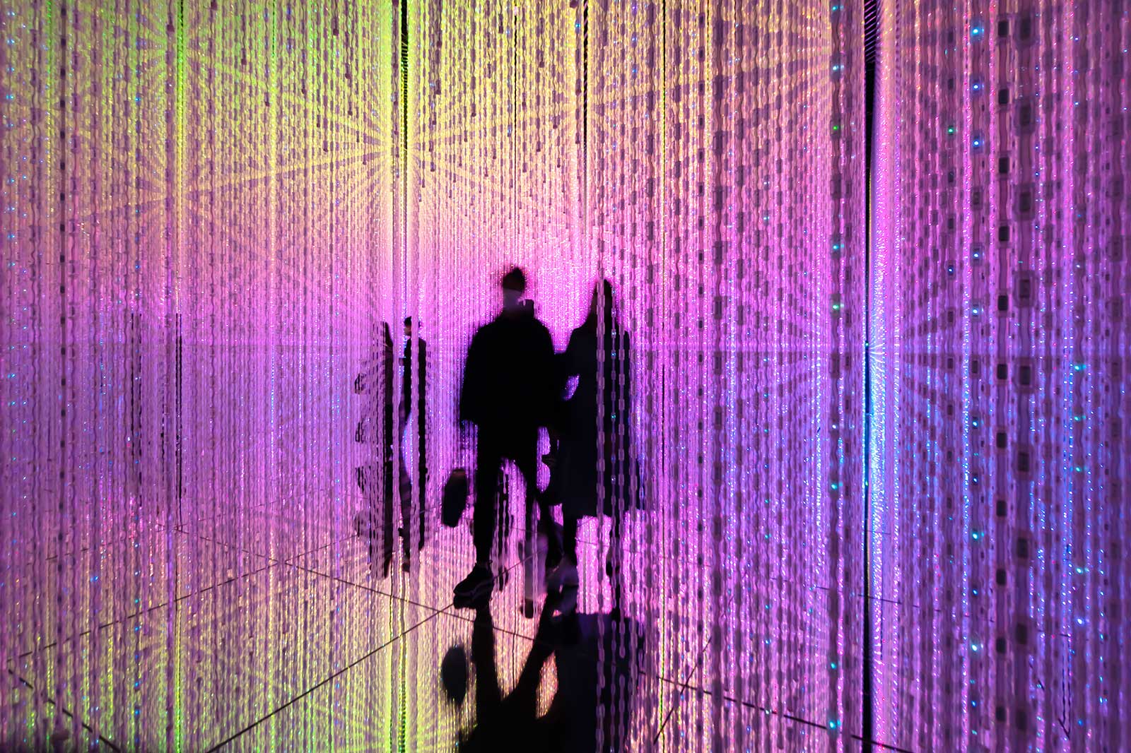 9 Best Theme Parks in Gold Coast - Where to Enjoy Thrilling Rides and