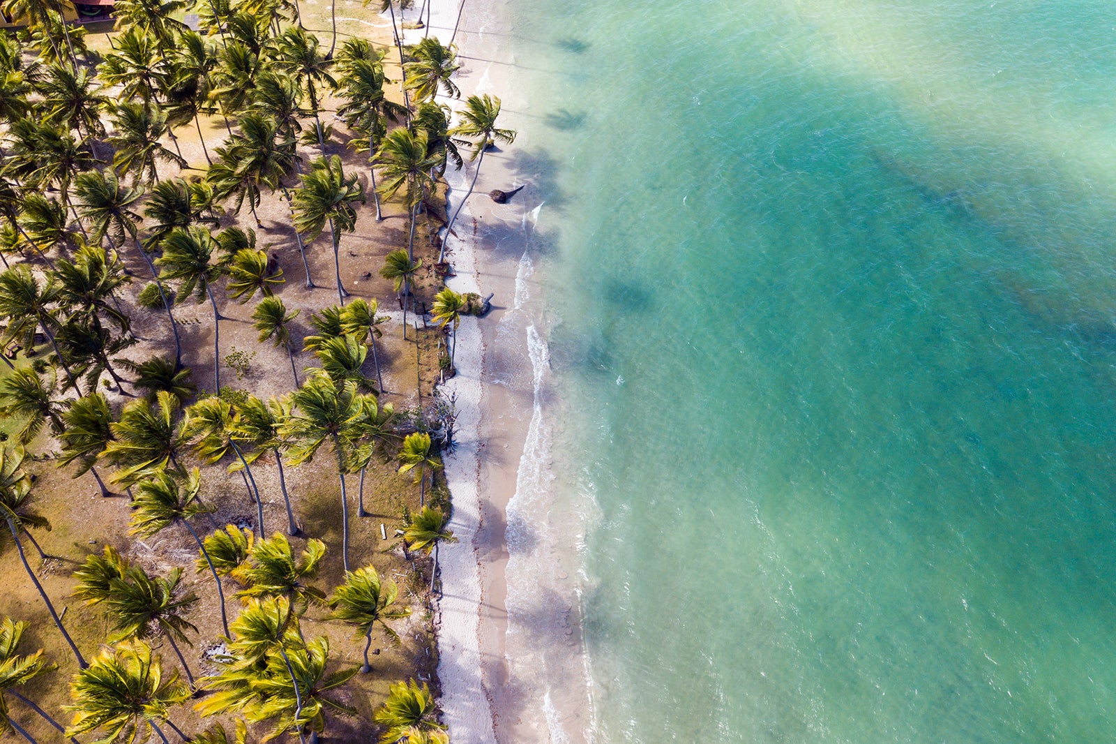 Puteiro em porto seguro