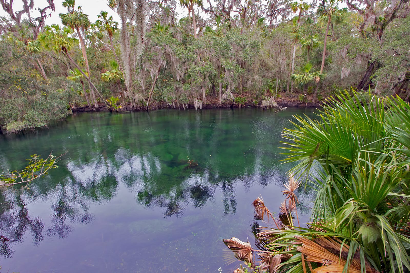 Blue Spring State Park - Florida State Park Near Orlando – Go Guides
