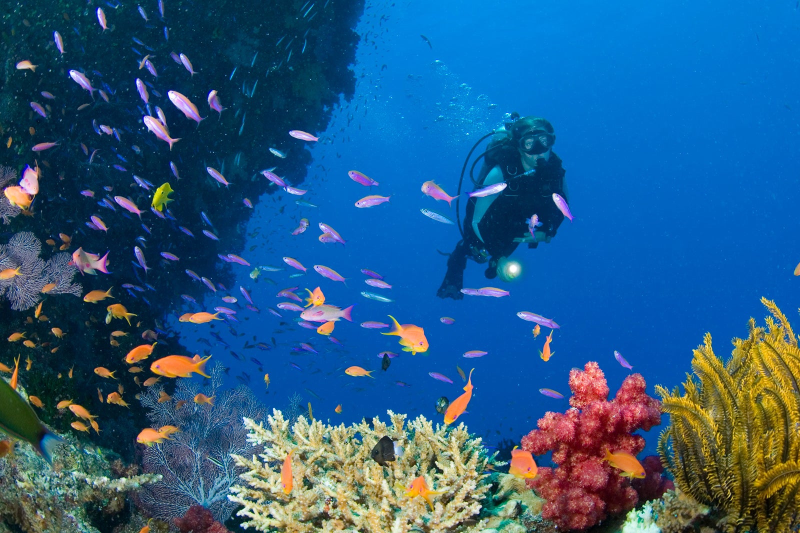 Boracay island scuba diving