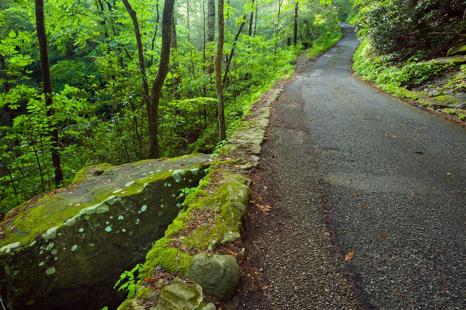 10 Best Cheap Things to Do in Pigeon What Can I Do in Pigeon