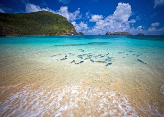 best lemon tree passage hotels cancel free on most hotels compare 2 places to stay in lemon tree passage new south wales