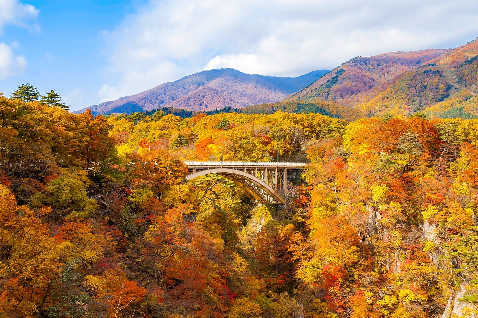 仙台の自然の驚異 10 スポット - 自動車旅行で仙台へ出かけませんか ? - Go Guides