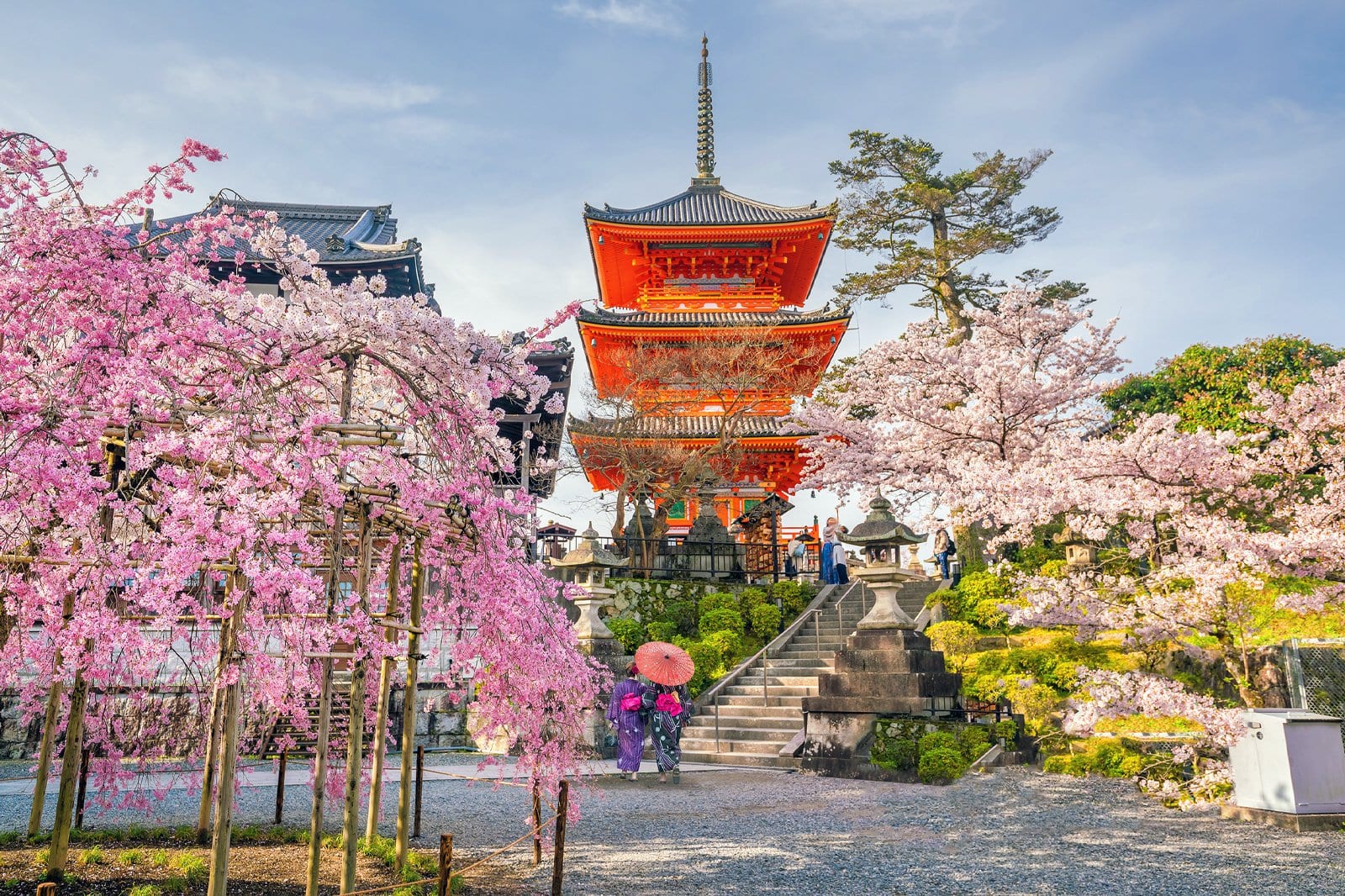6 Best Temples to See Cherry Blossoms in Kyoto - Great Places in Kyoto ...