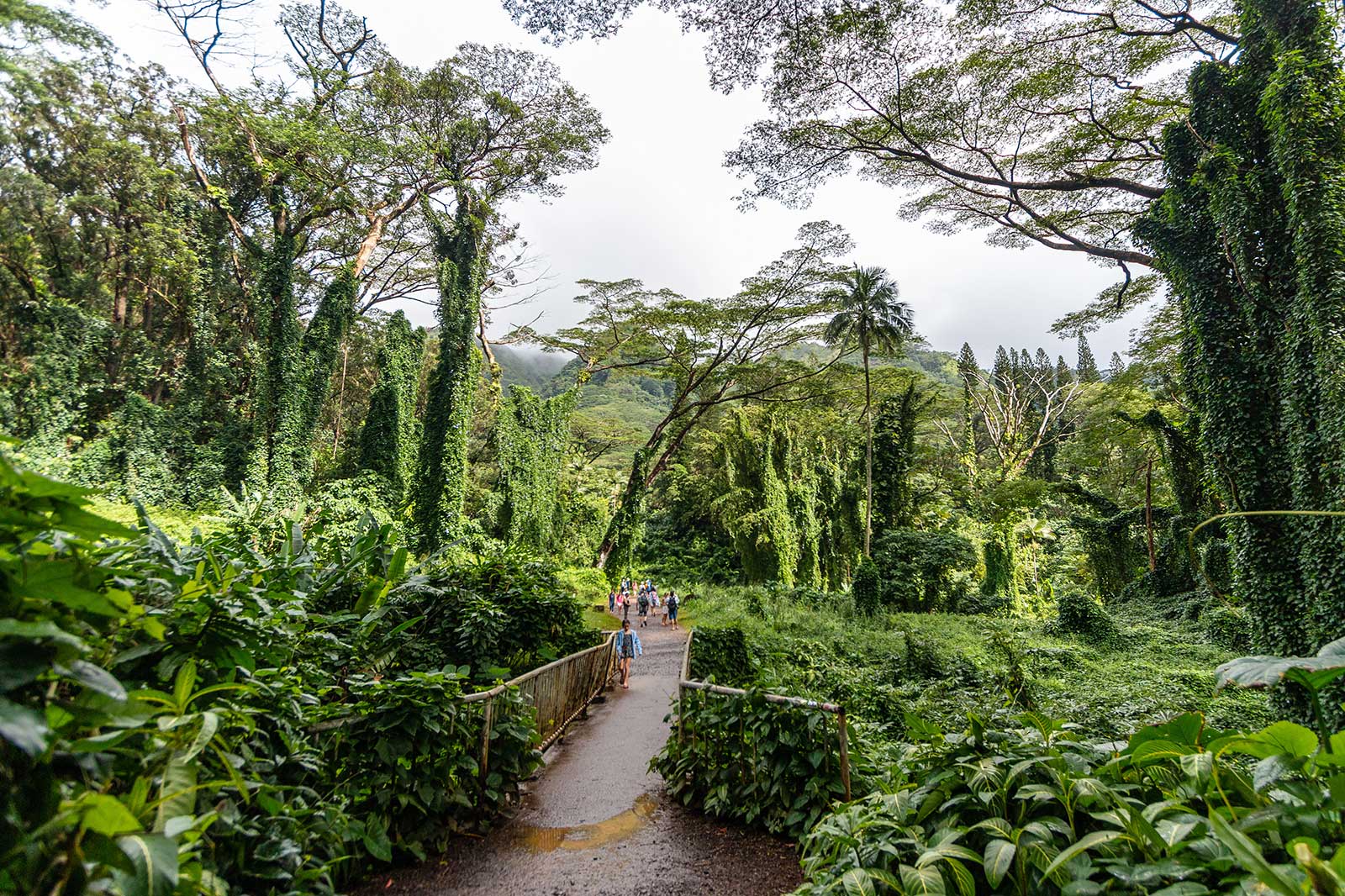 10 Best Hiking Trails in Oahu - Take a Walk Around Oahu’s Most ...