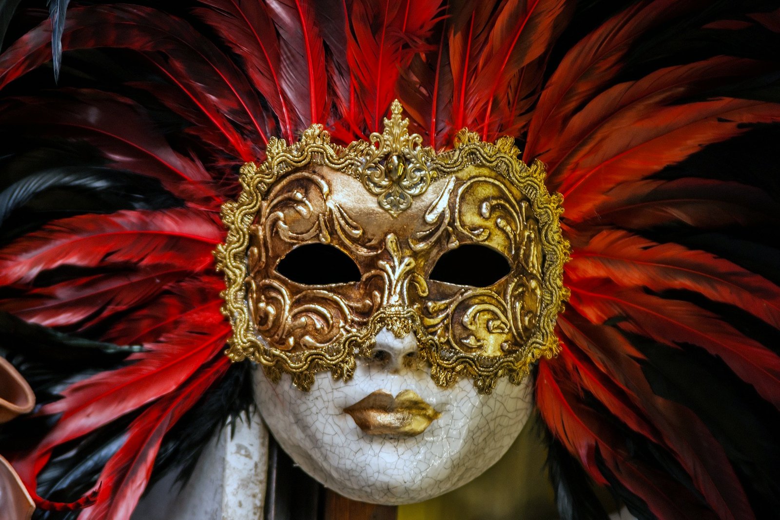 The Carnival of Rio de Janeiro – Rio Tickets