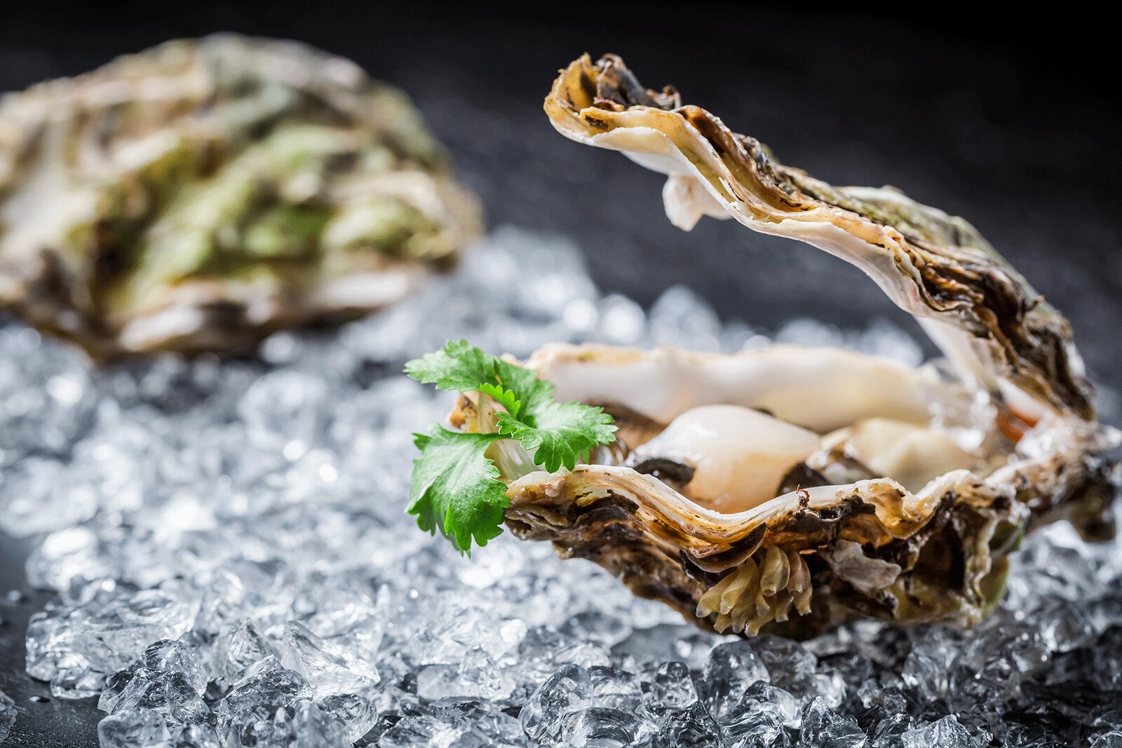 10 Great Restaurants in Colorado Springs - Where to Eat in Colorado