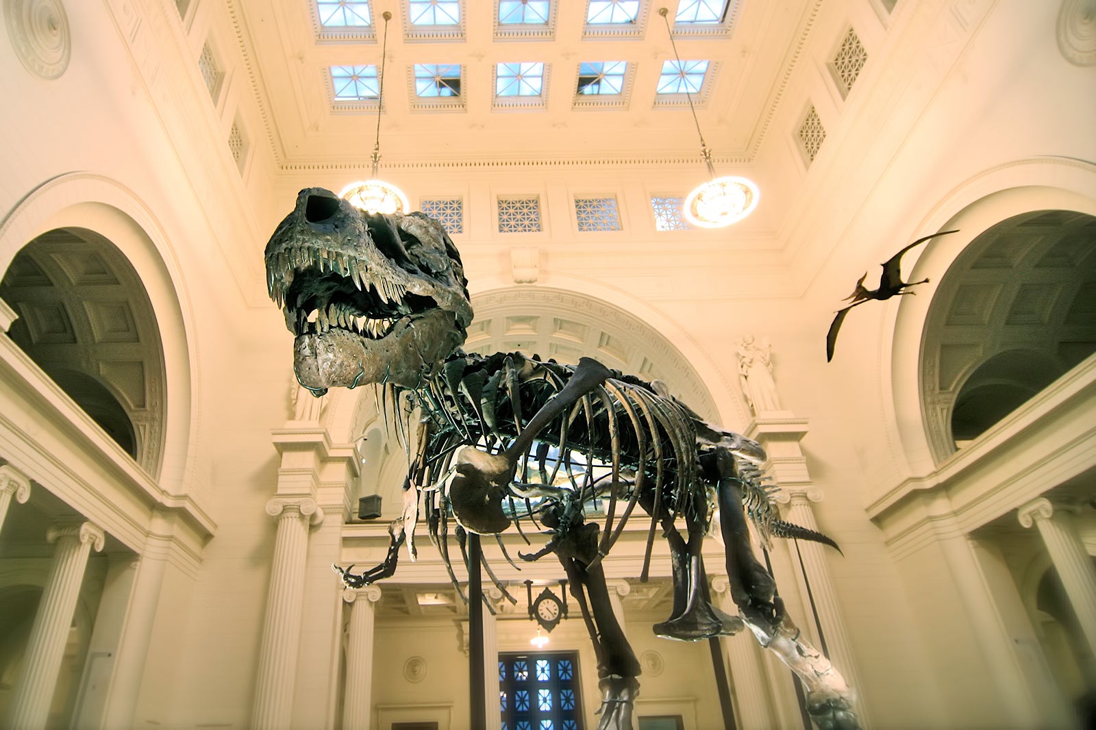 We going to the museum. Field Museum of natural History 2022. Field Museum of natural History.