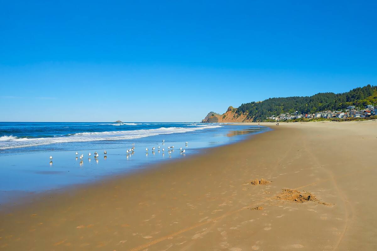 Oregon What you need to know before you go Go Guides Oregon What you need to know before you go Go Guides