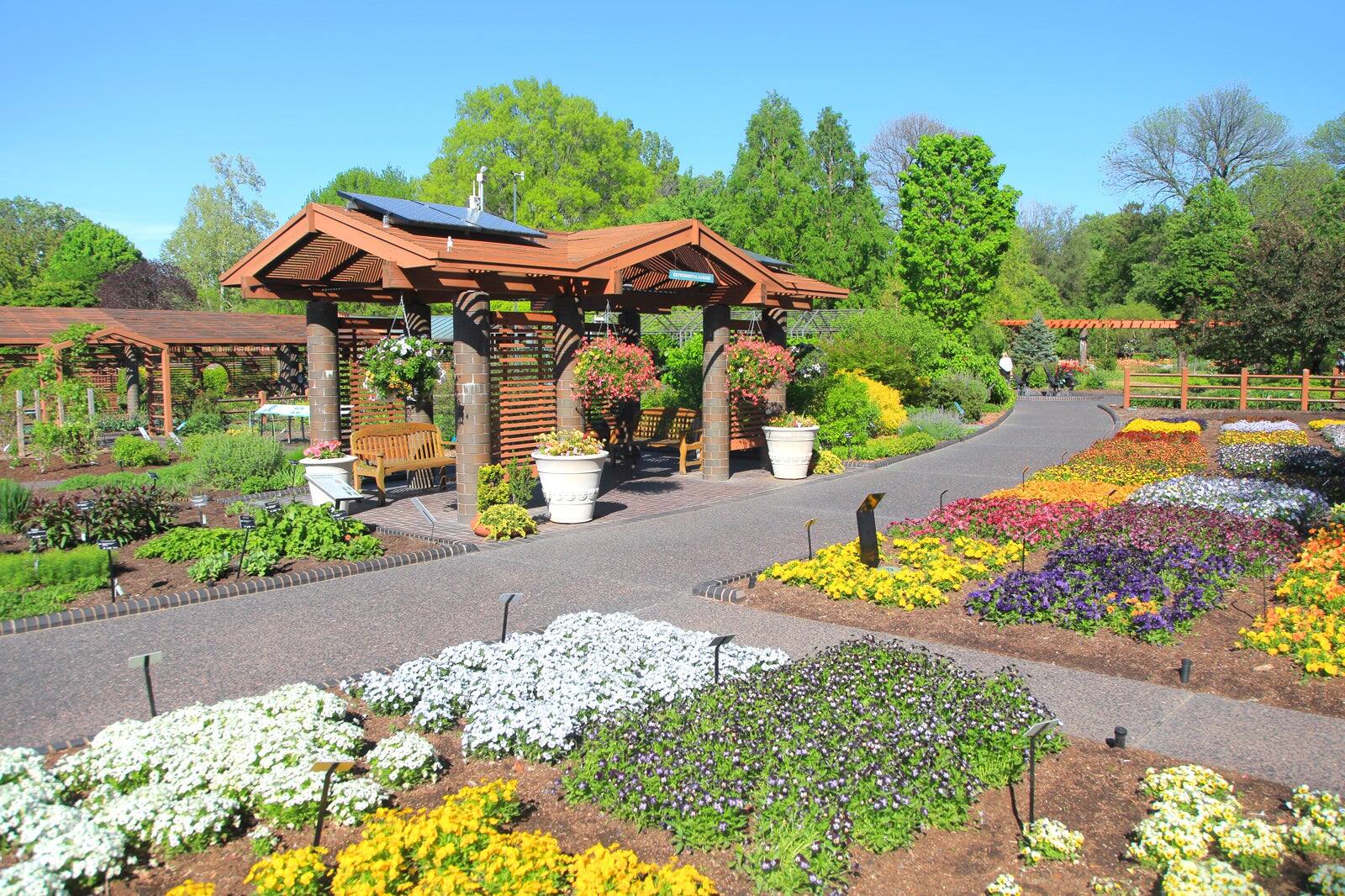 10 Best Family Things to Do in St. Louis - Fun Places in St. Louis to ...