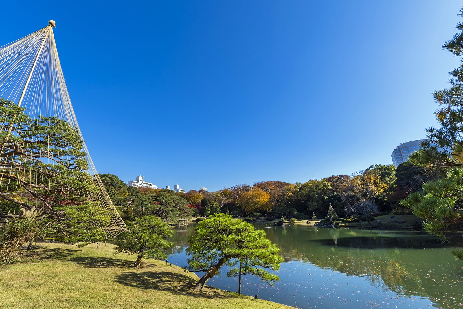 東京で人気の公園 トップ 10 都会にいながら癒しを感じられる名園巡り Go Guides