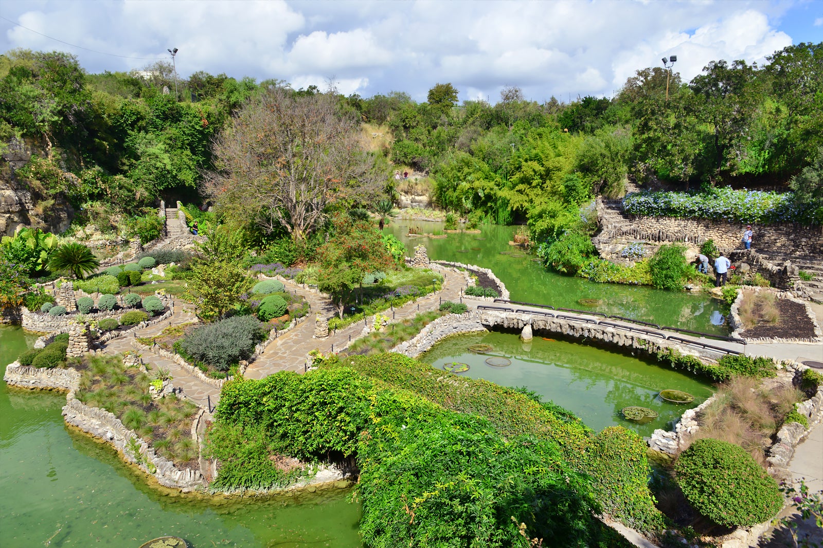 are-dogs-allowed-in-japanese-garden-san-antonio